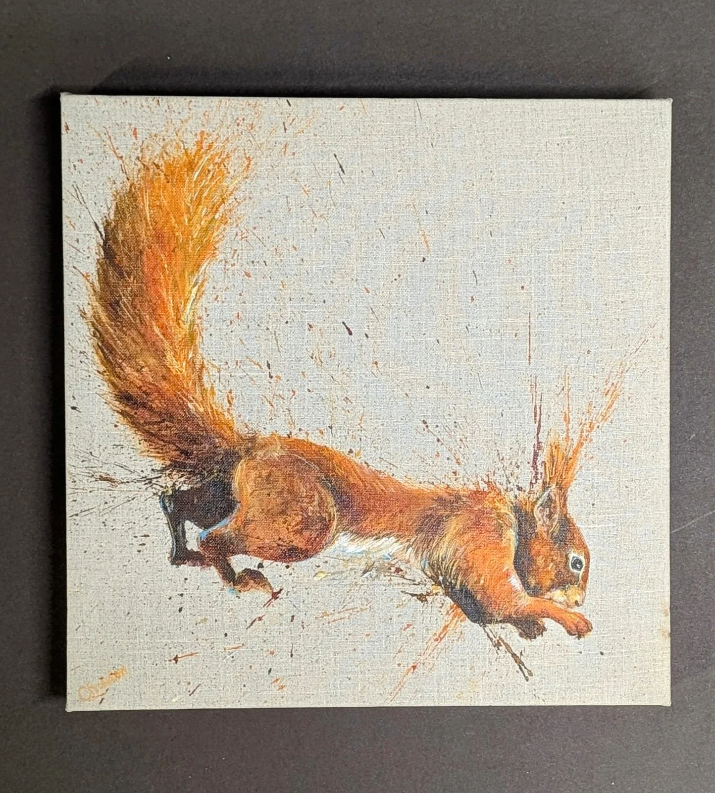 Leaping Red Squirrel