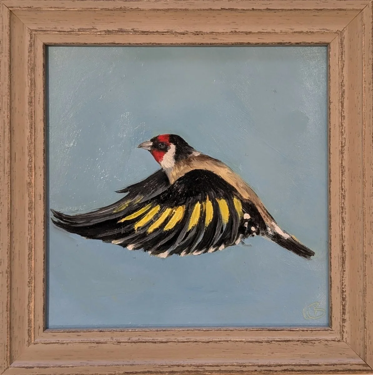 Goldfinch.jpg