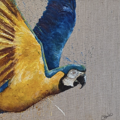 Yellow Winged Macaw.png