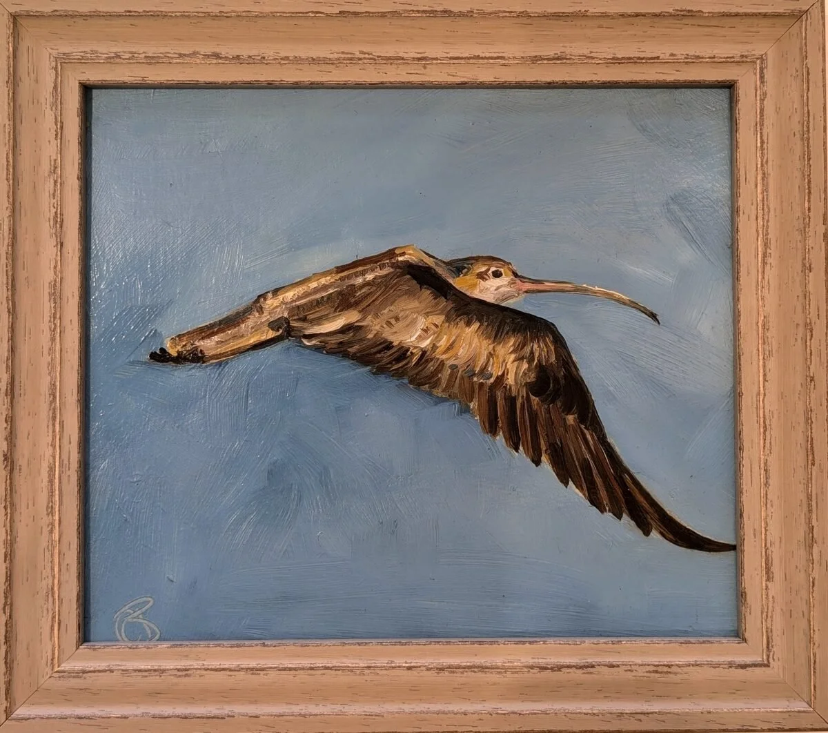 Blue Sky Curlew.jpg