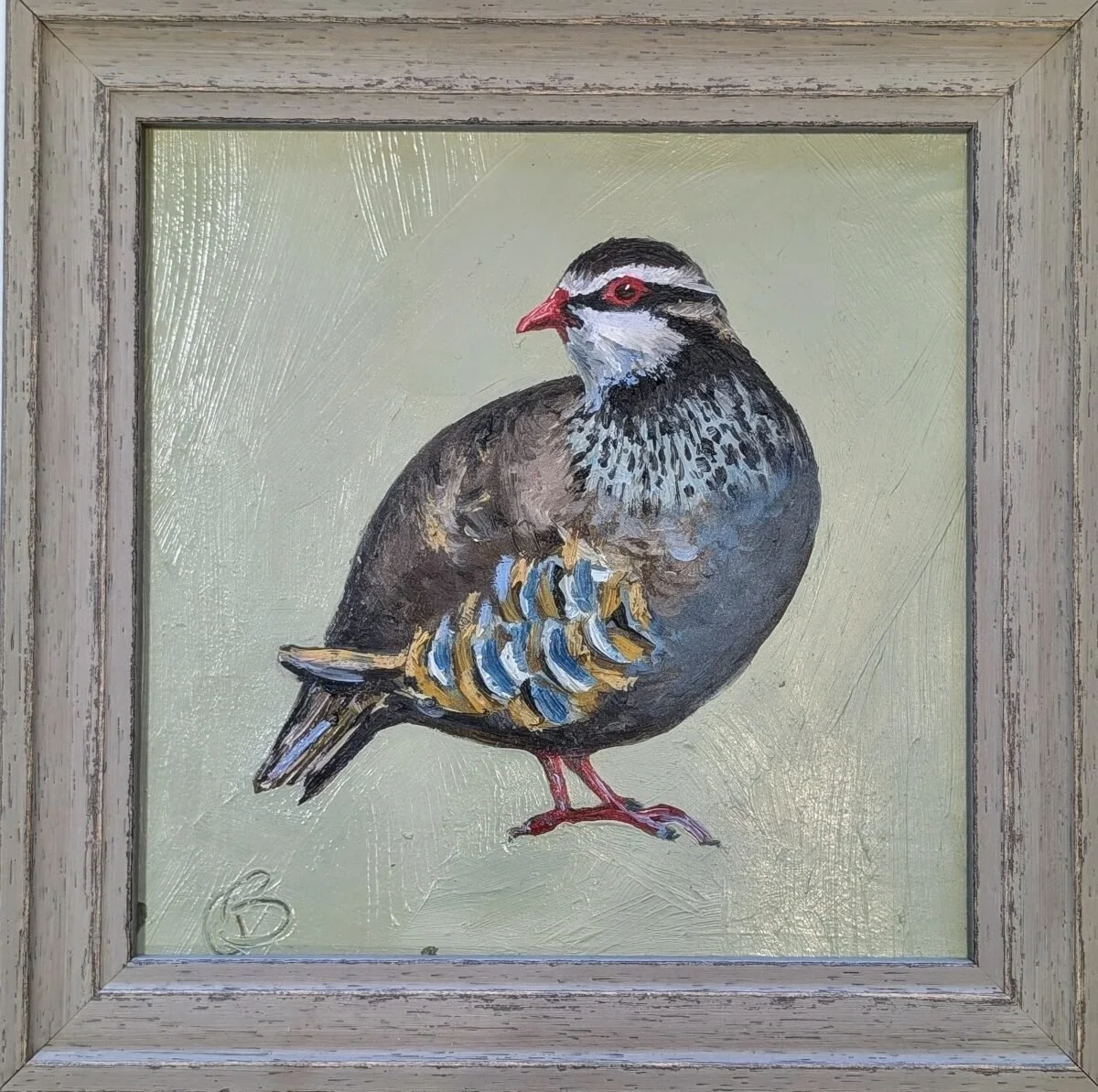 French Partridge.jpg