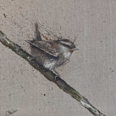 Wren.png