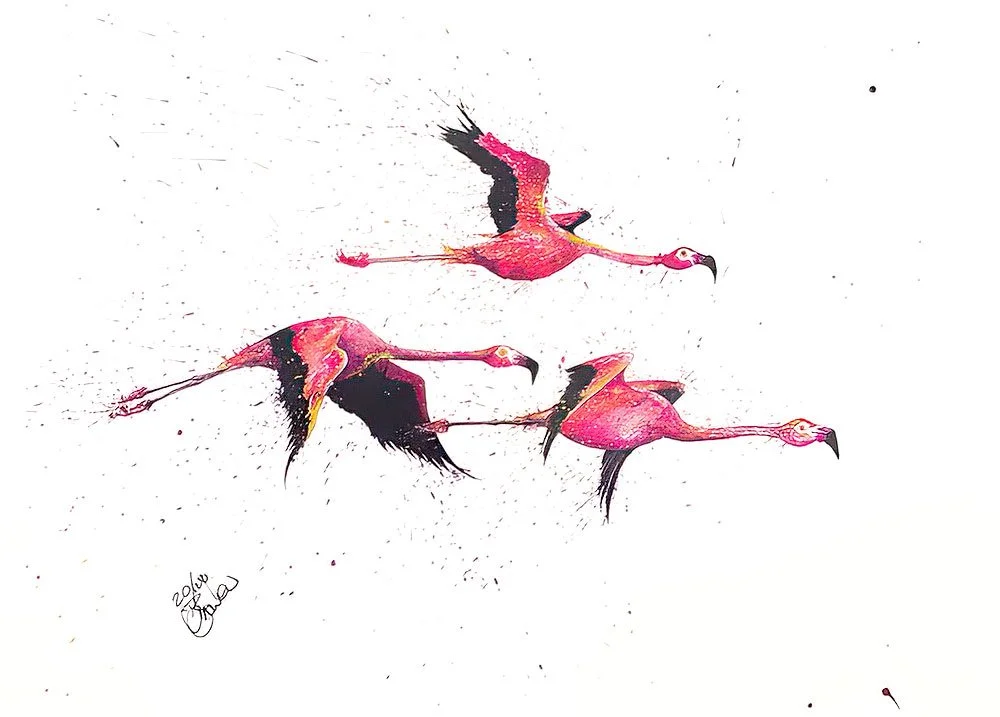 Flamingo Trio Flying A3.jpg