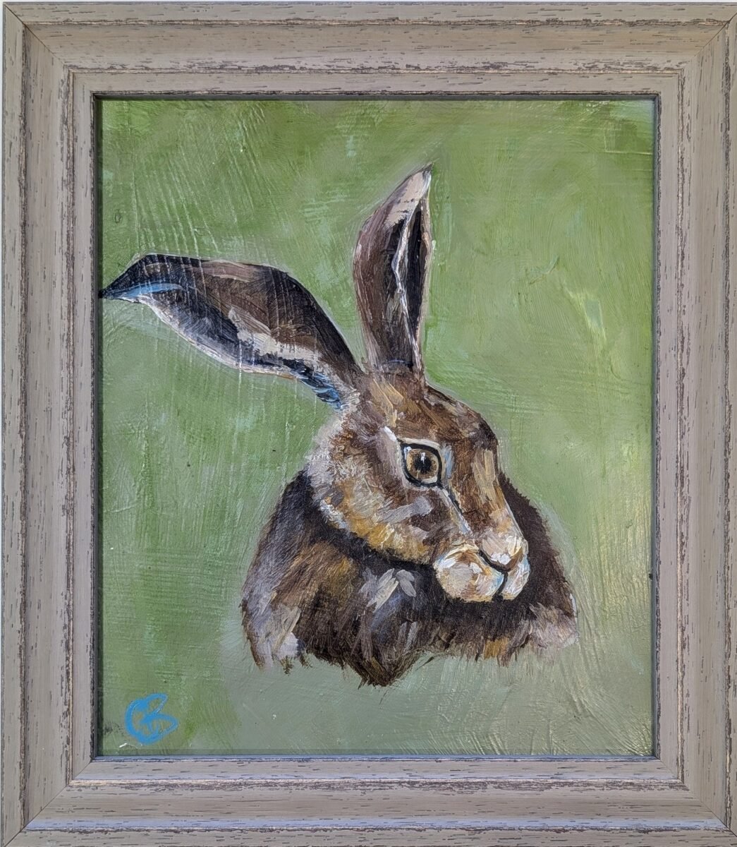 Hare.jpg