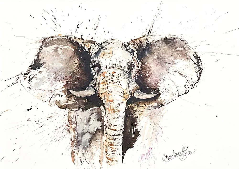 Elephant A3.jpg