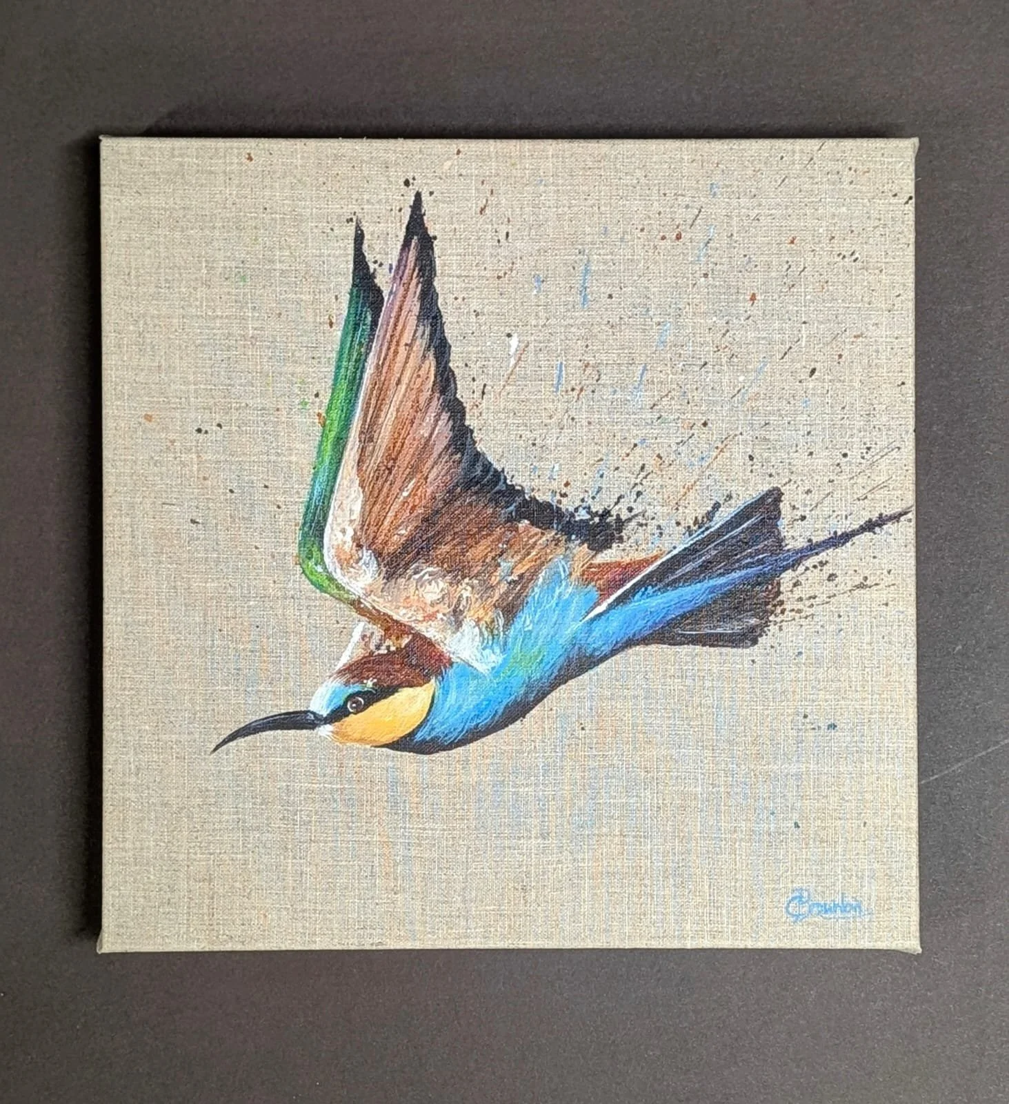European Bea Eater Flying Down