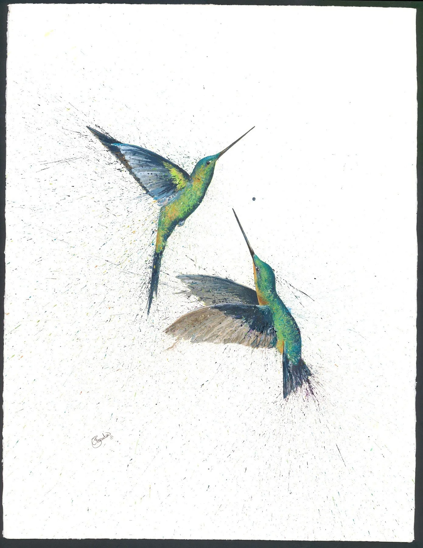 Humming Birds.jpg
