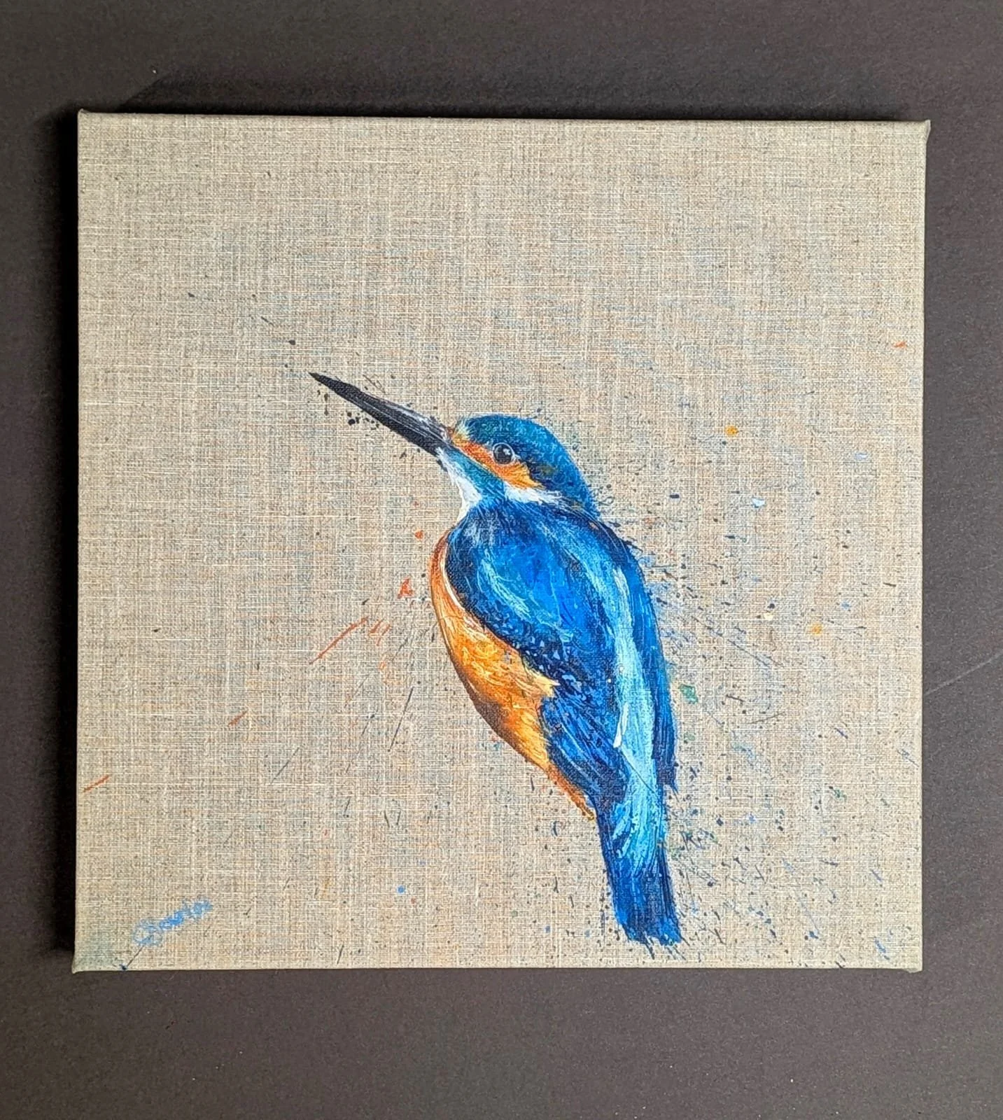 Sitting Kingfisher