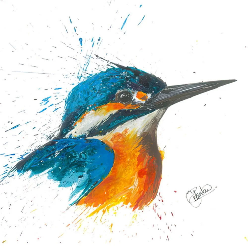 Kingfisher Portrait.jpg