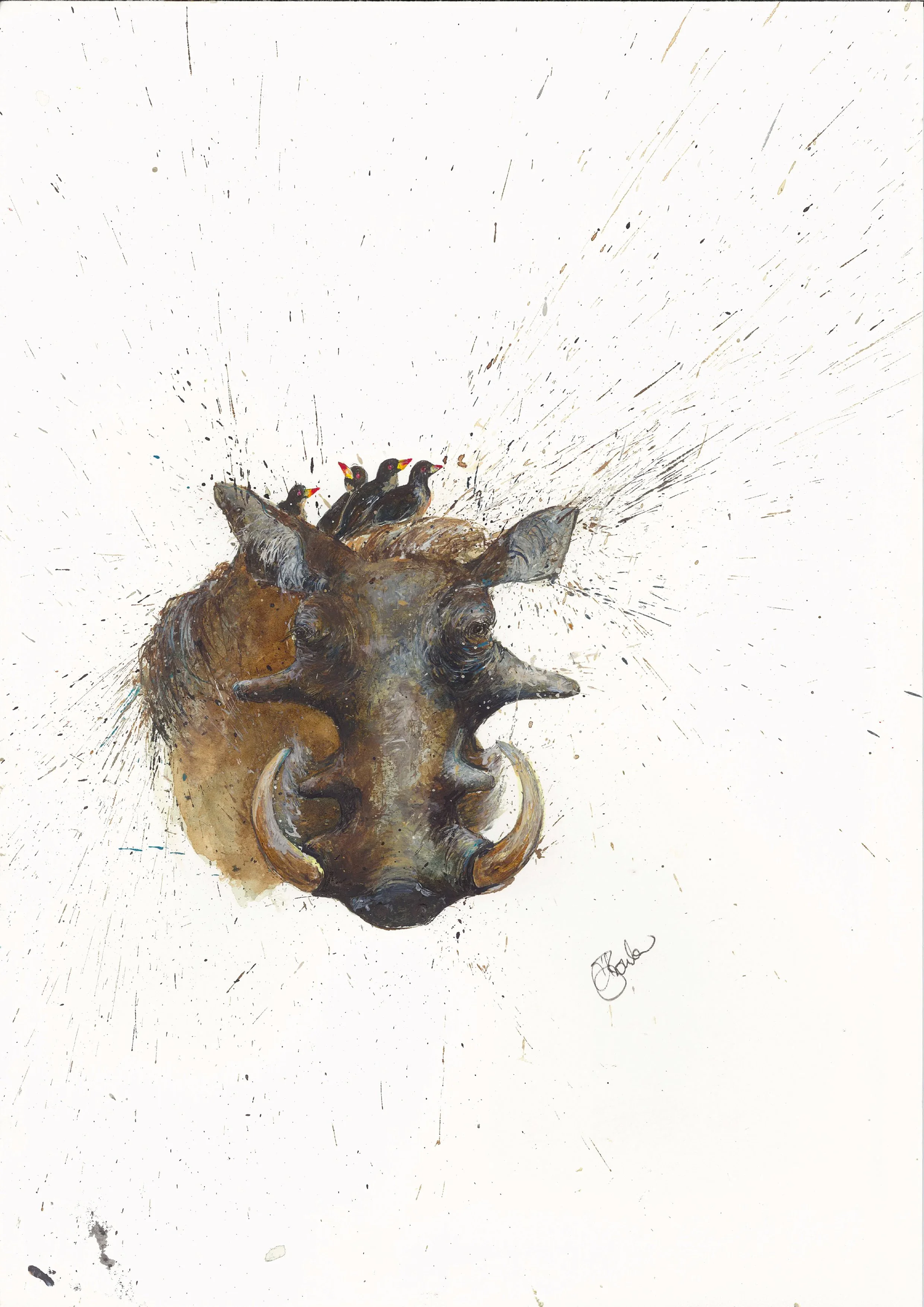 Warthog - Kenya Collection (A3)