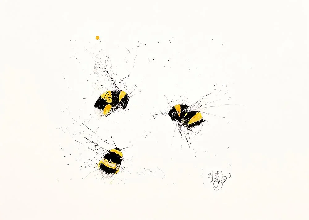 Bumble Bee Trio A3.jpg