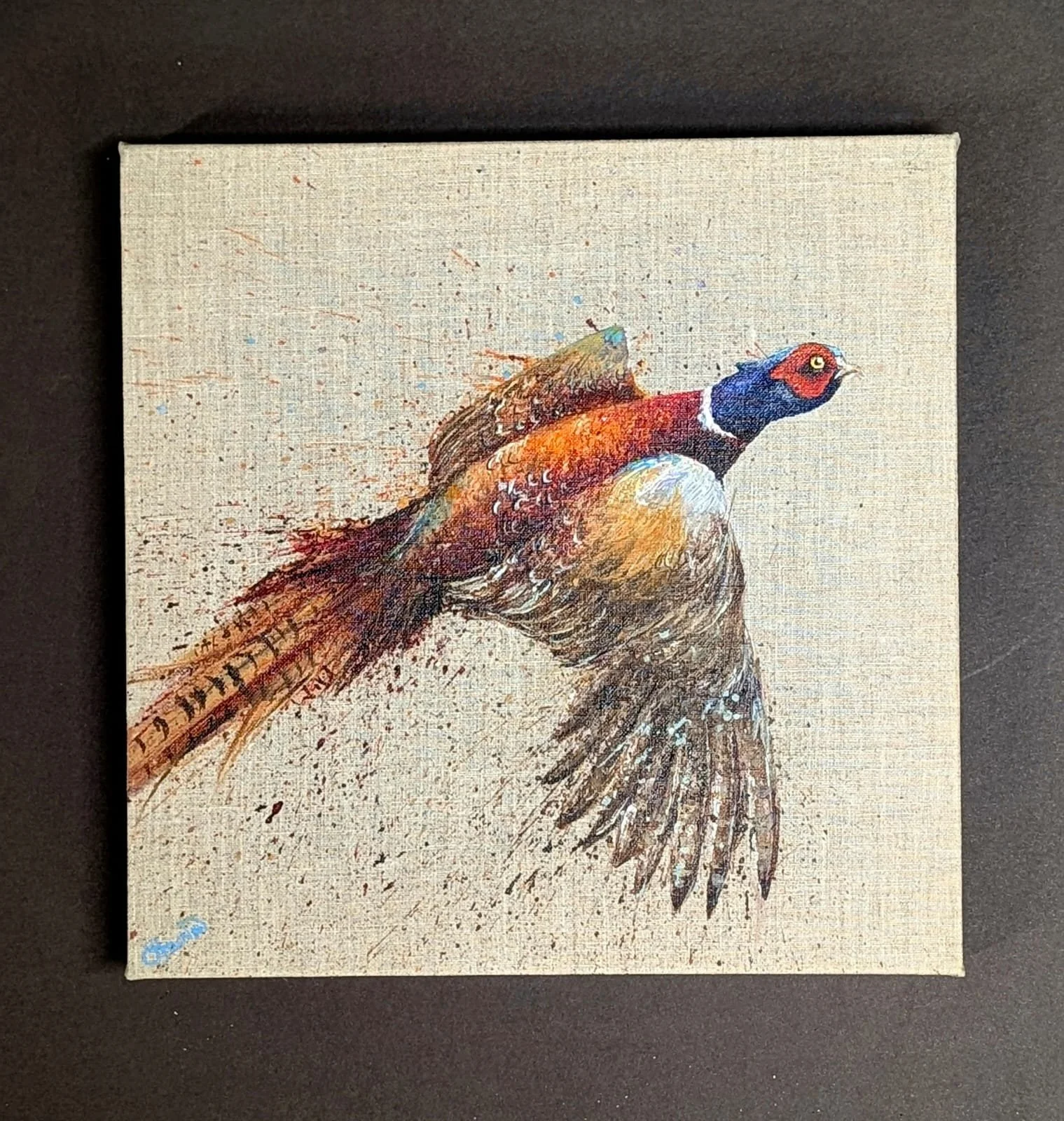 Flying Pheasant
