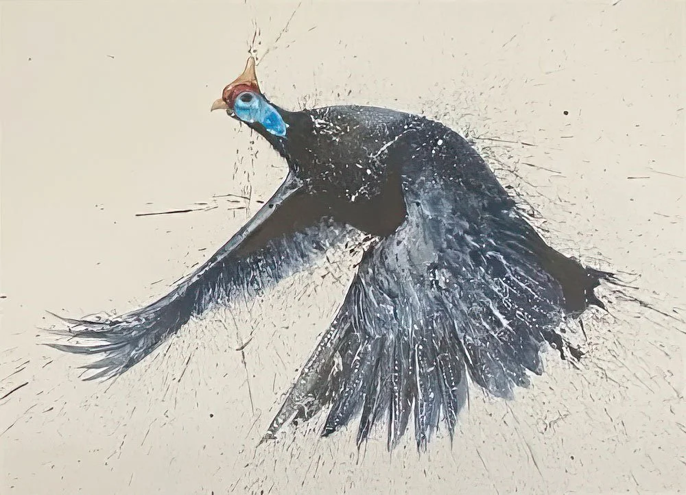 Guinea in Flight.jpg