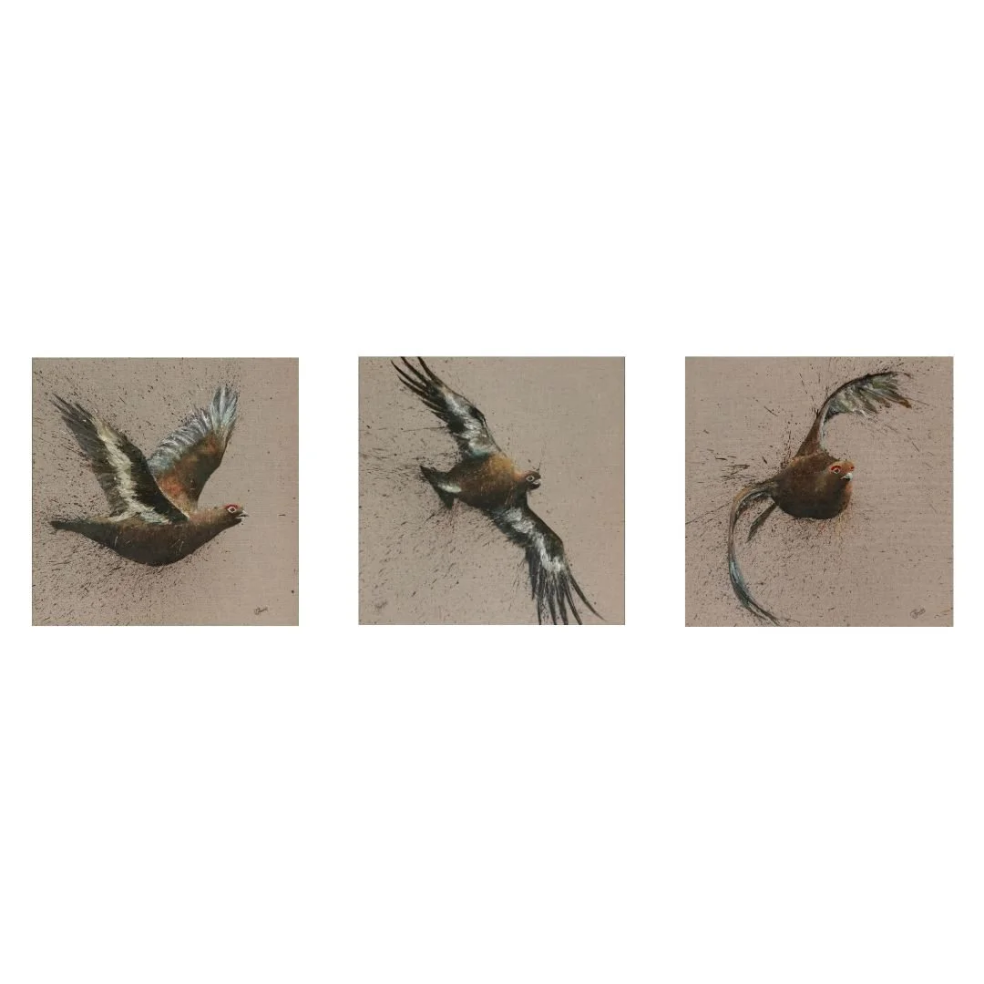 Grouse Triptych