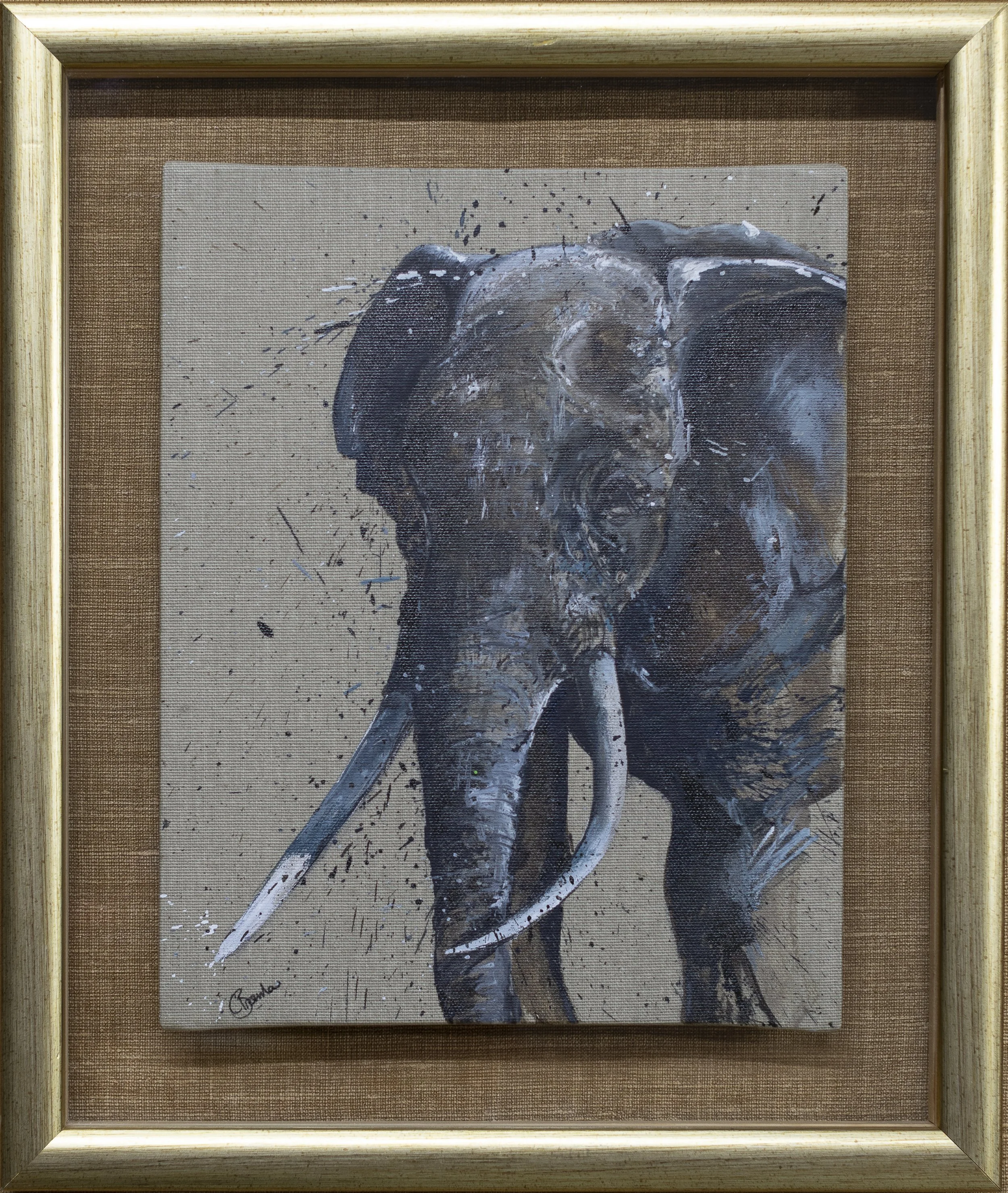 Elephant Portrait