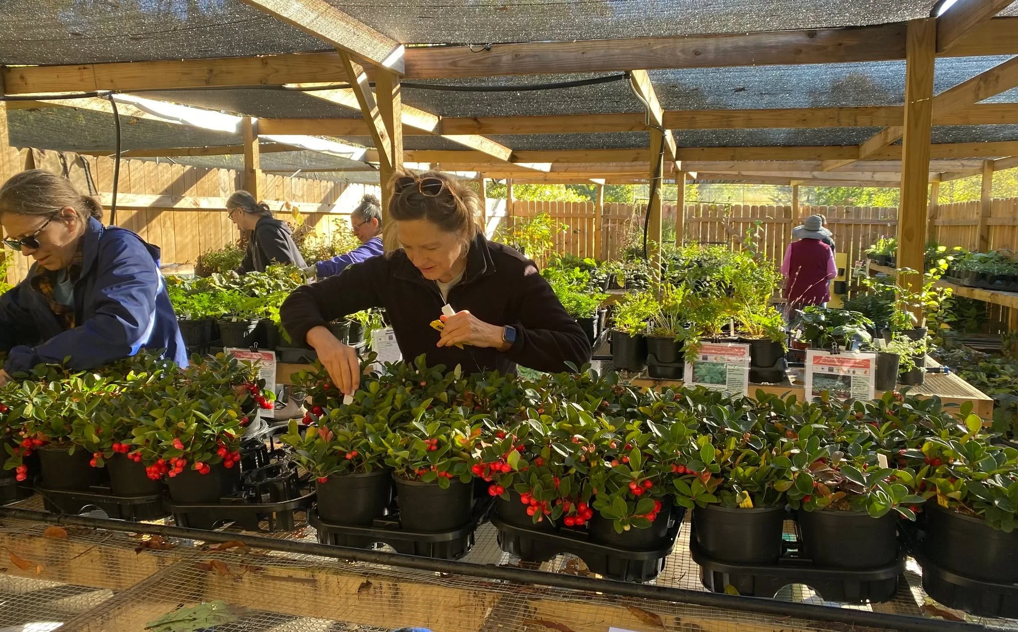 Johnna and our ESP Volunteers are hard at work preparing everything for our Spring Native Plant Sale!

This sale is back-and bigger than ever! Explore hundreds of native ferns, wildflowers, shrubs, trees, and vines perfect for your garden while suppo