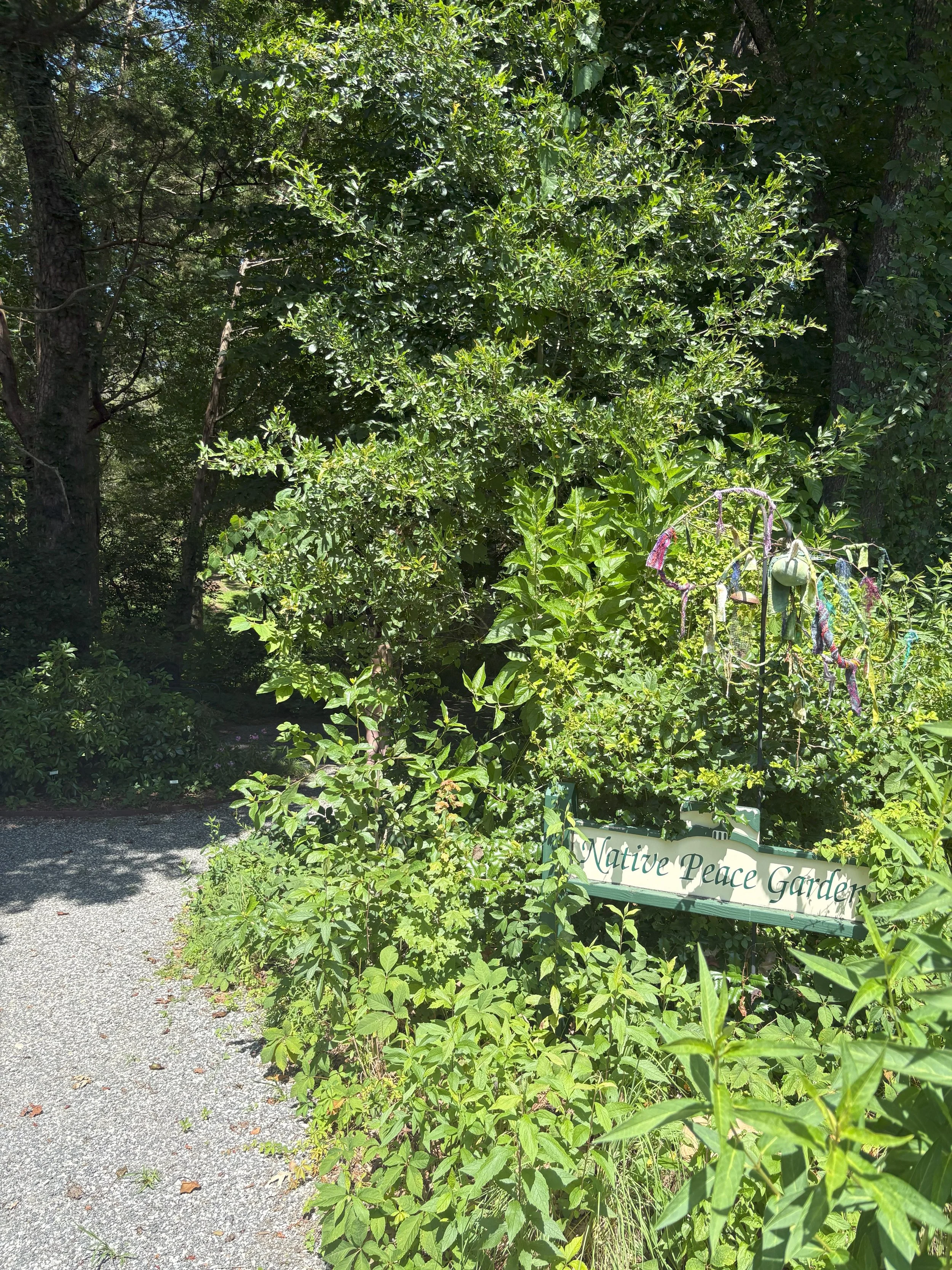 Native Peace Garden in bloom 2.jpg