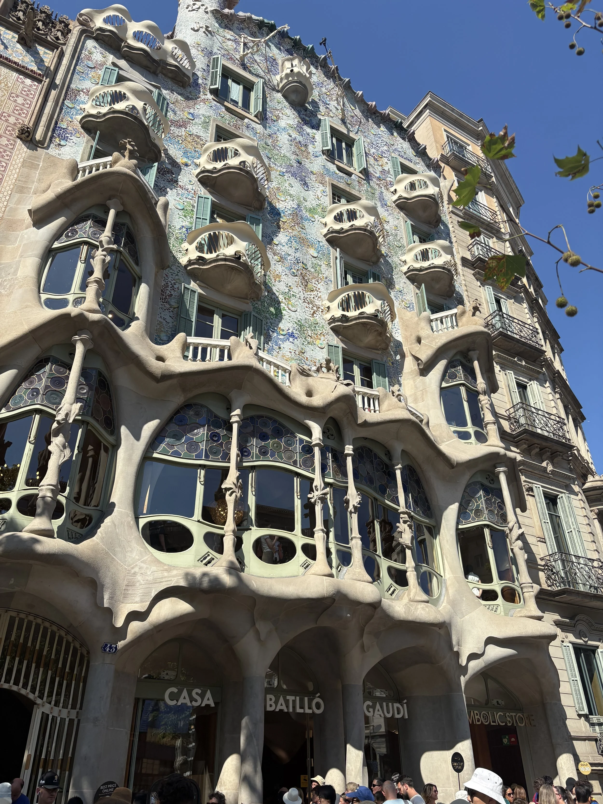 casa batllo.jpg