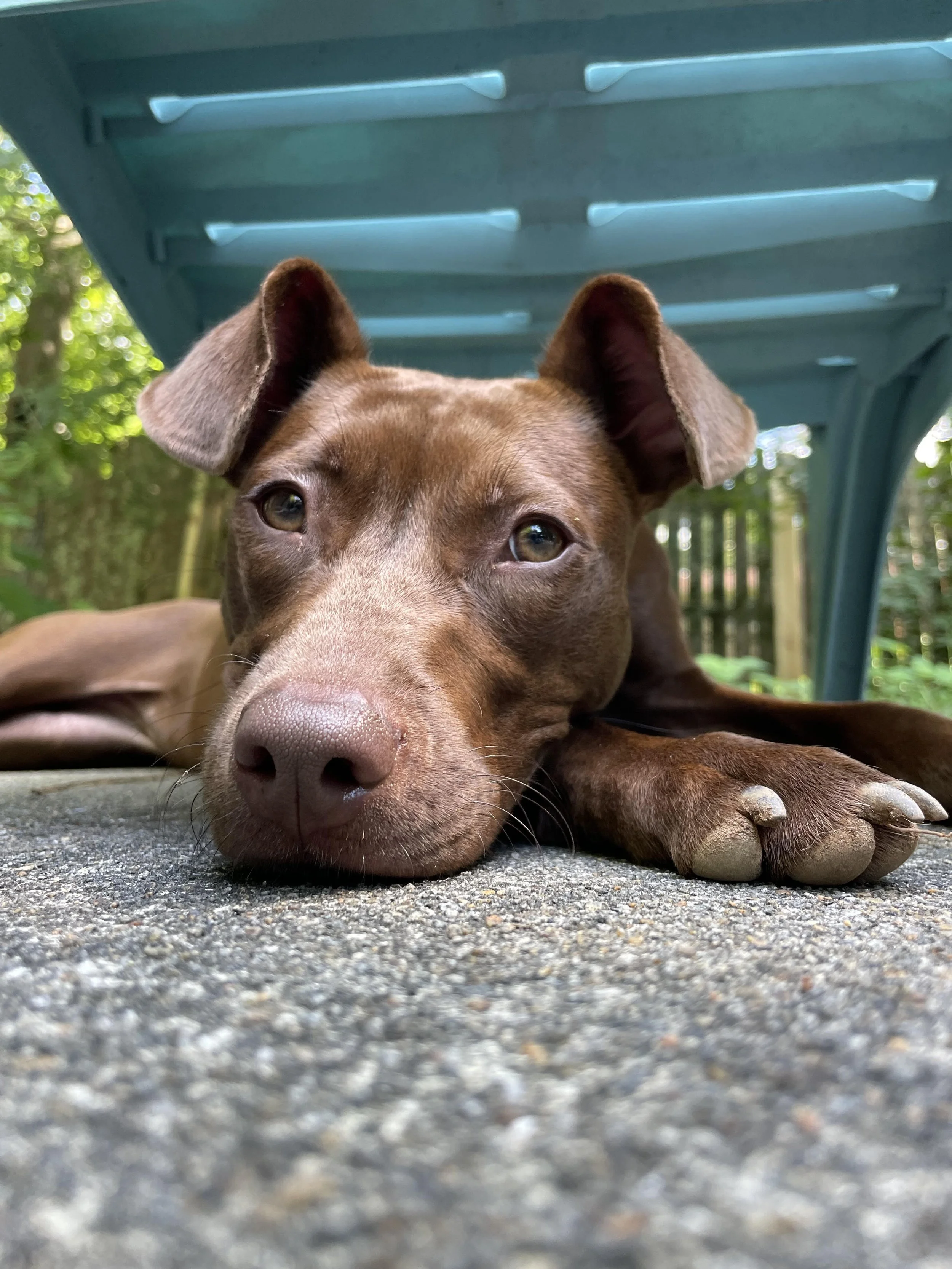 Capturing Characters