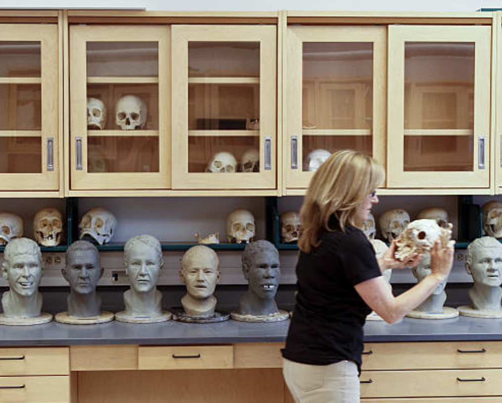 Inside the FBI forensic art lab, a forensic artist holds a human skull while surrounded by clay facial reconstructions and skeletal remains.