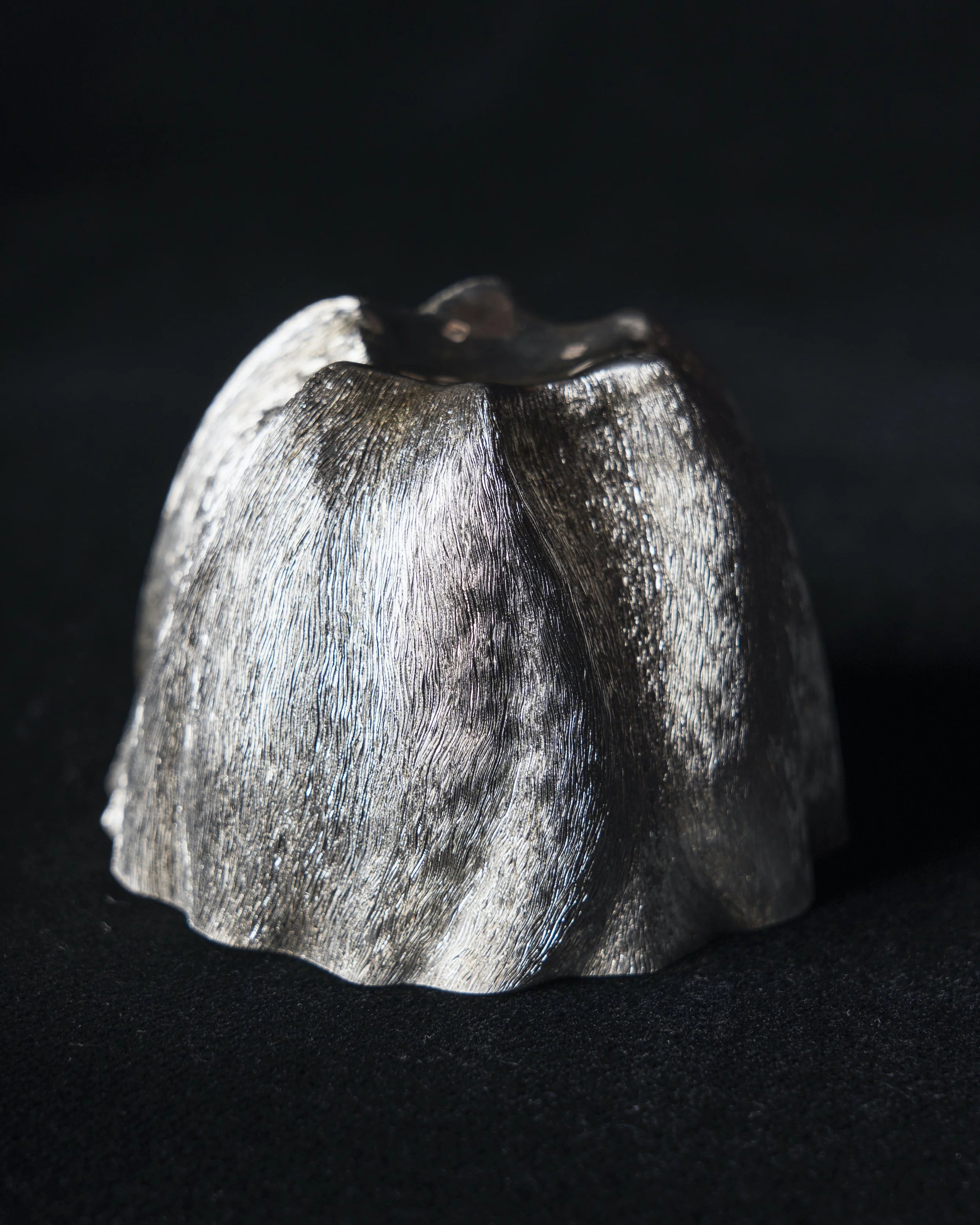 OLAFSSON, ANNA. 2. Anemone_Cup_fine_silver_2024_Photocredit_KyleHowie.jpg