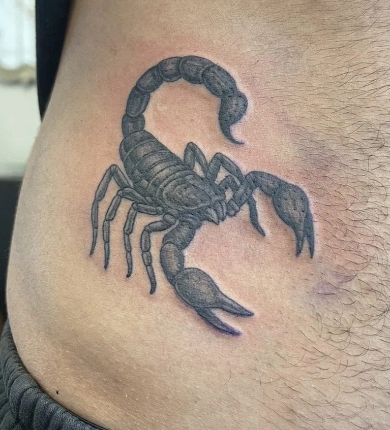 scorpion tattoo lower stomach 