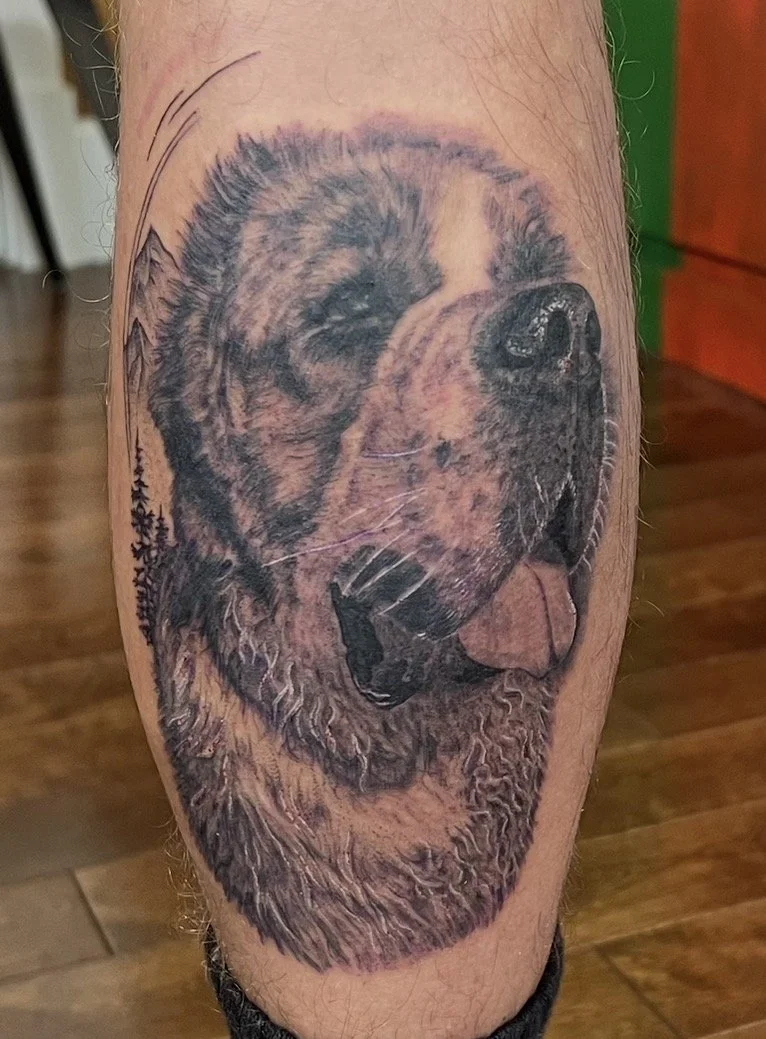 realistic portrait of a dog pet 