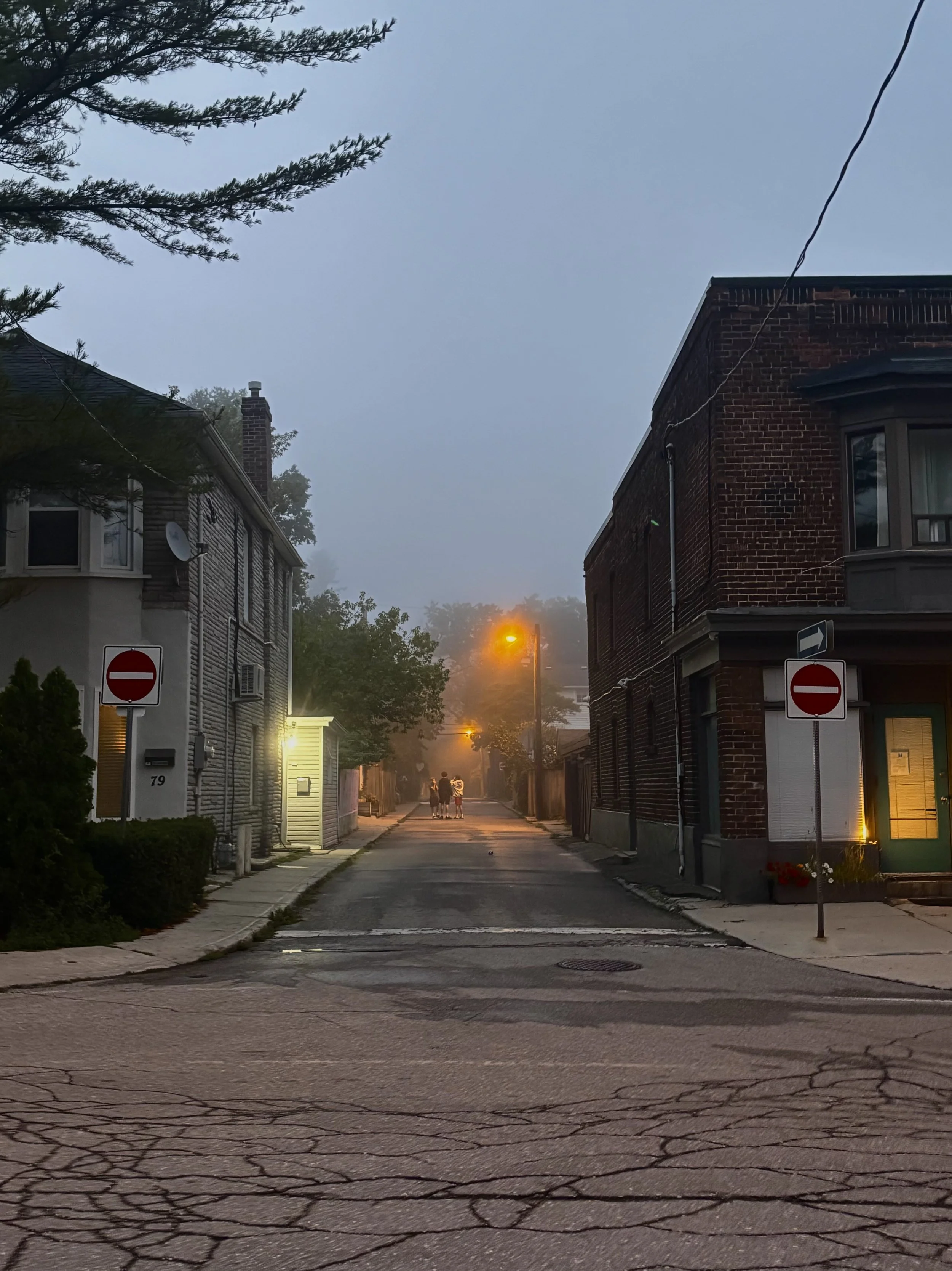 Windsor Avenue in the fog of by-election day August 31, 2026.