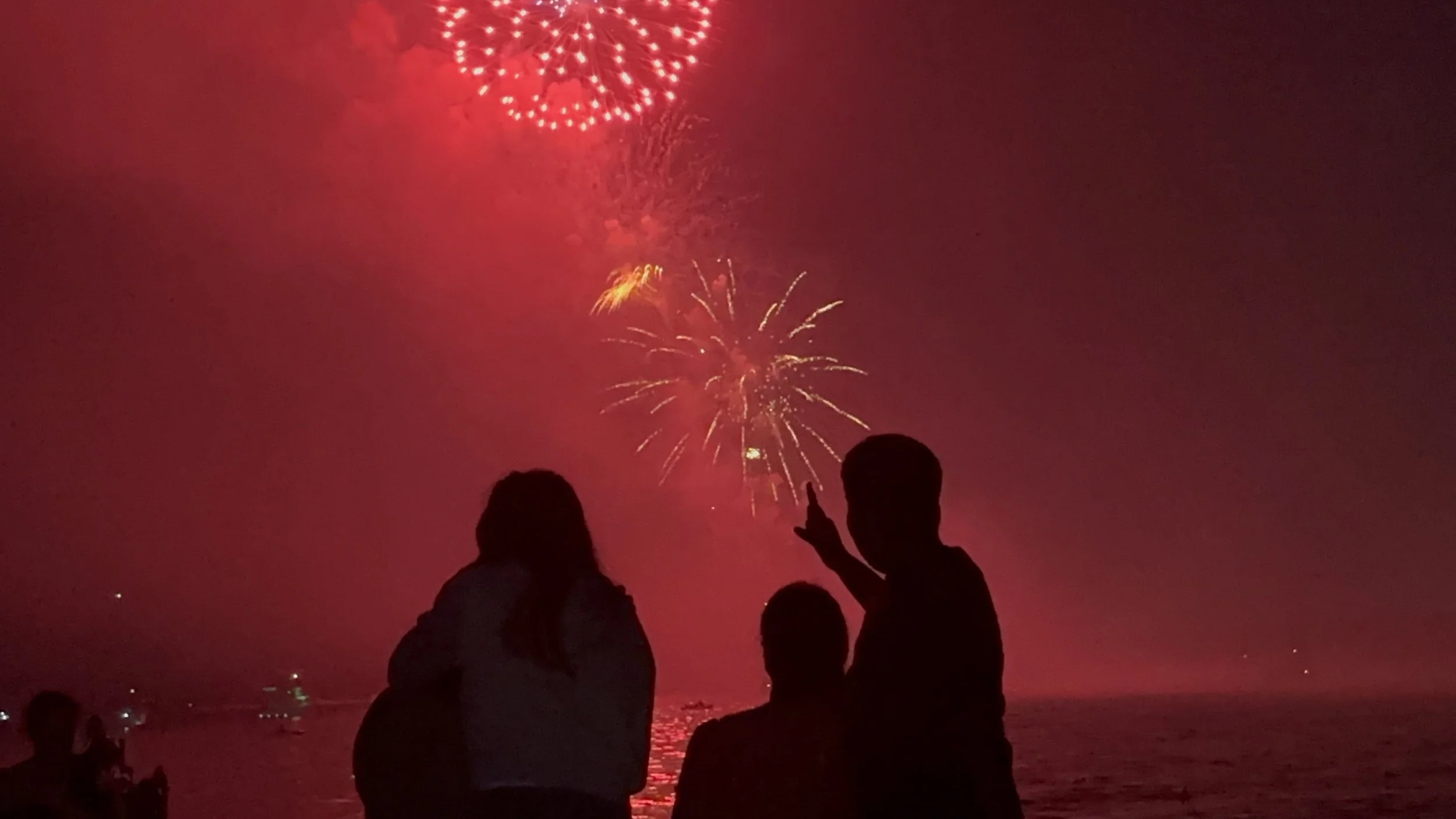 Baby's first firework

Martin Goodman Trail @ Lee Av. 
July 1, 2026
