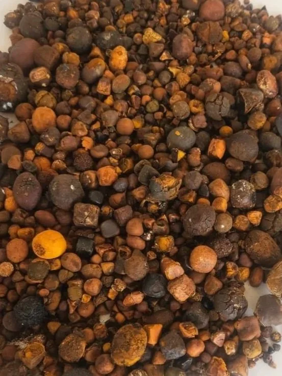 Close-up view of a variety of small, round, dark-colored and brown seeds or grains.