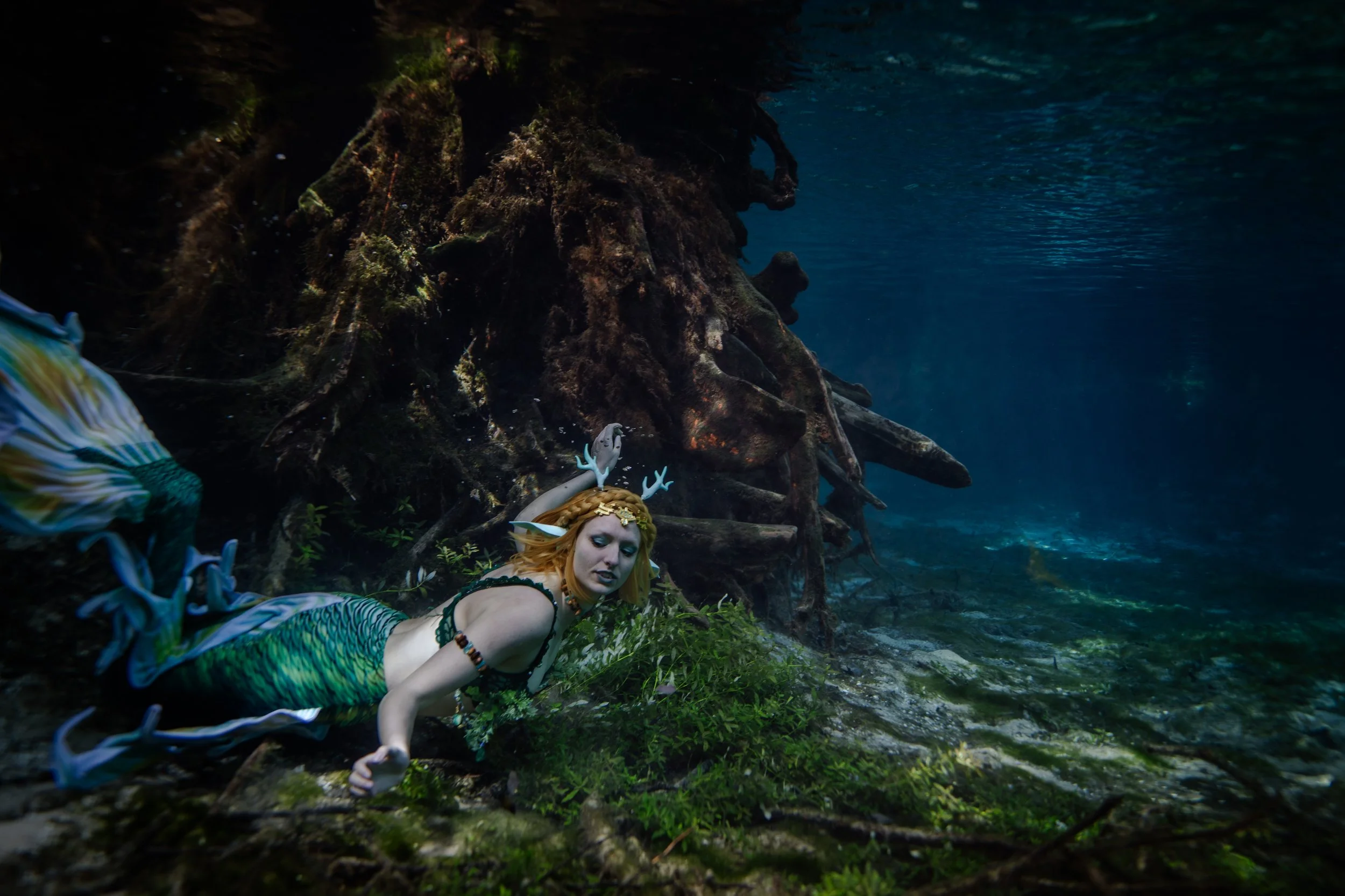 Wondering mermaid