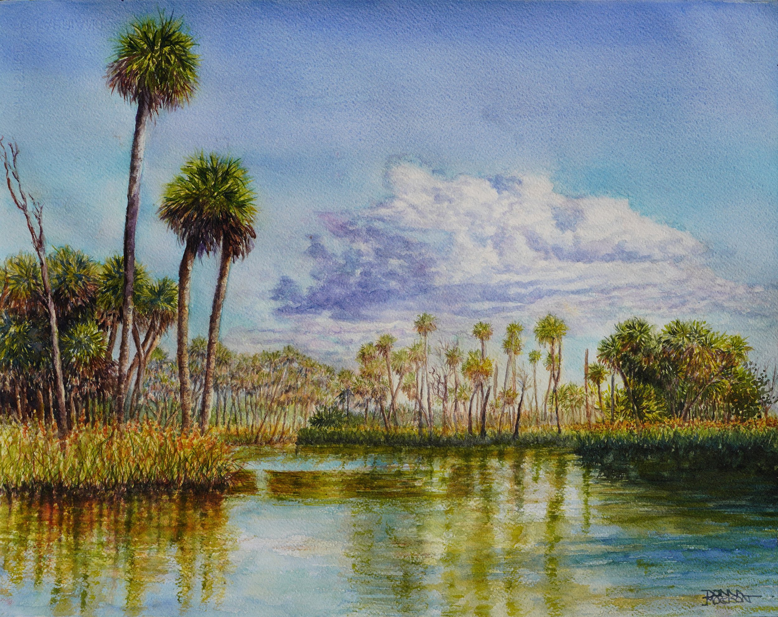 Spring Fed River, Chassahowitzka