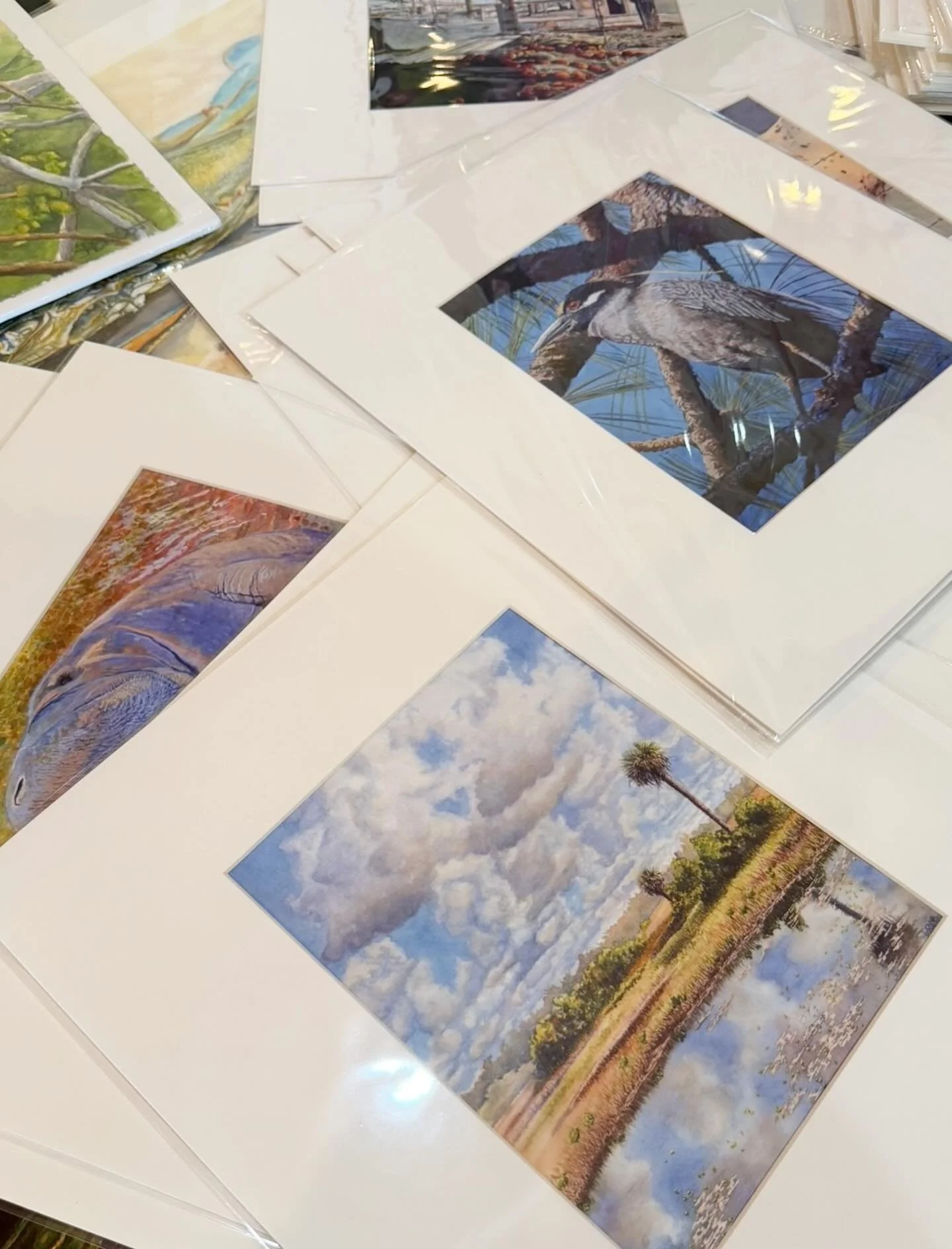 🎄✨ Need an affordable Christmas gift? My art prints might be just the thing!
Want to make it even more special? Pair your favorite print with a custom frame from Smith Bros Framing in South Tampa.
Swing by, browse the prints, explore the frames, and
