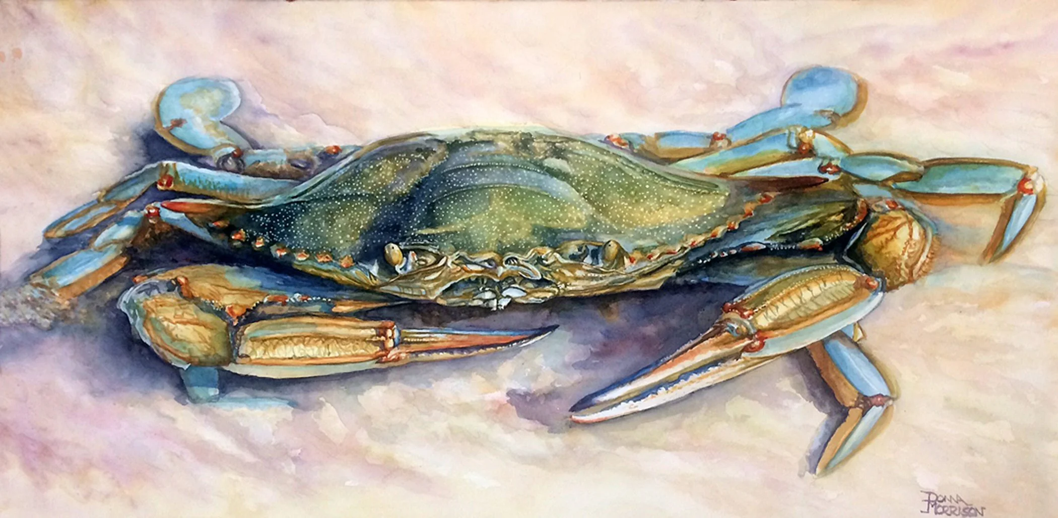 Greeting Cards - Blue Crab Study