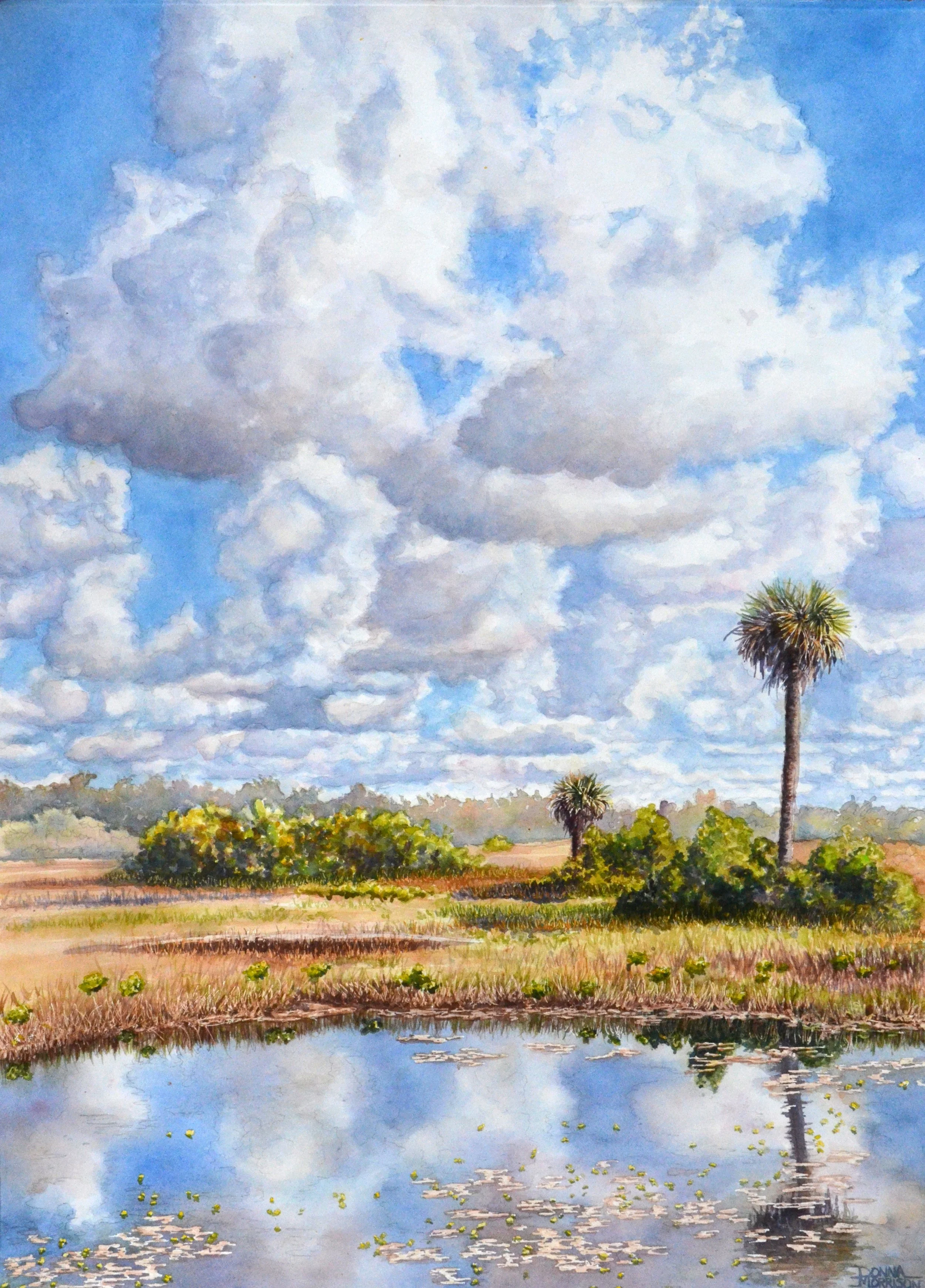 Print - Everglades Reflections