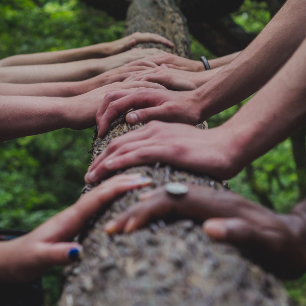 A close up of several people placing their hands on a fallen tree trunk.