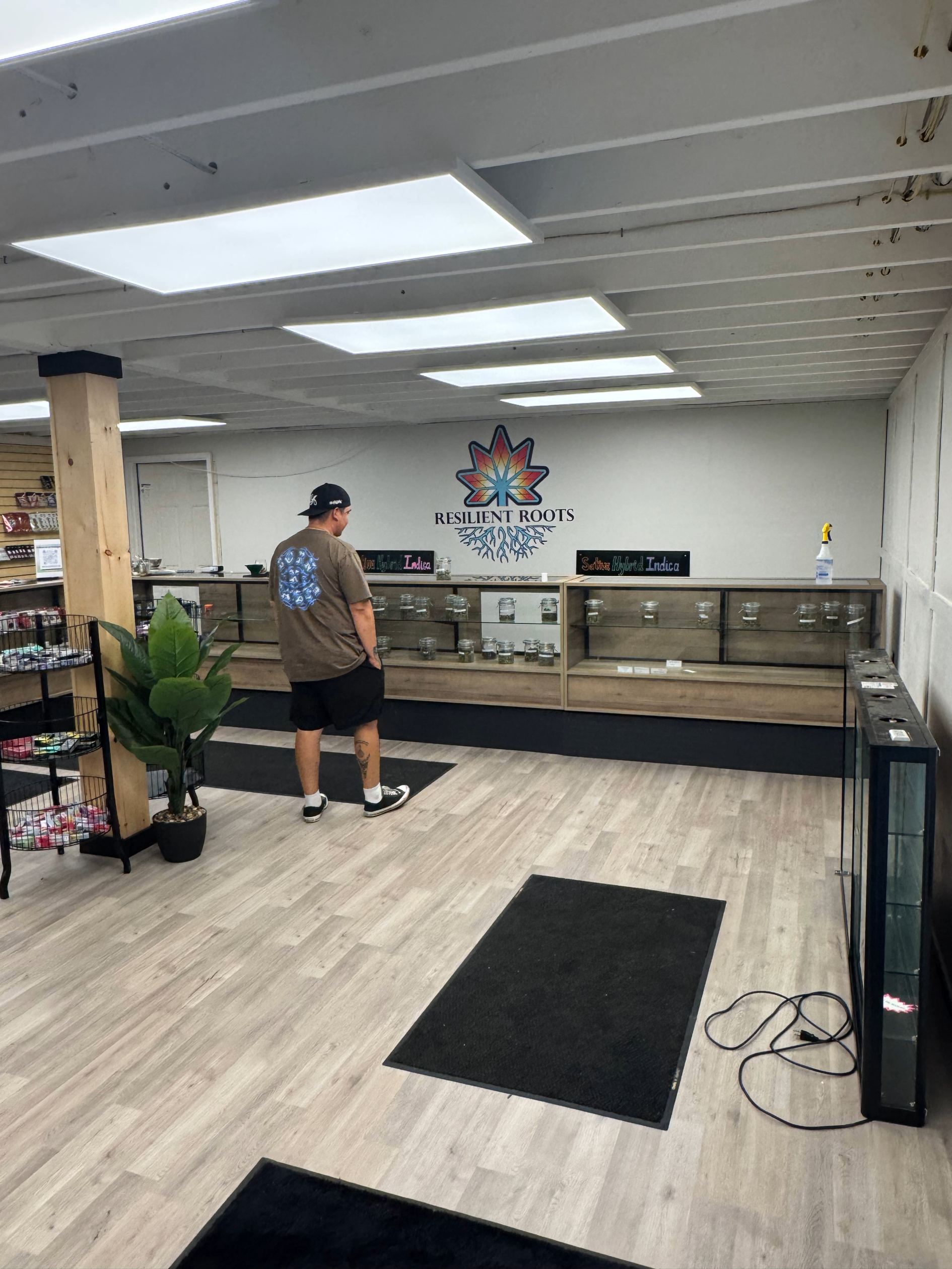 Inside a store or cannabis dispensary with a man standing in front of display cases with jars of cannabis. The wall has a logo that says 'Resilient Roots' with a colorful cannabis leaf and roots graphic. There are plants, shelves with products, and black mats on the light wood floor.