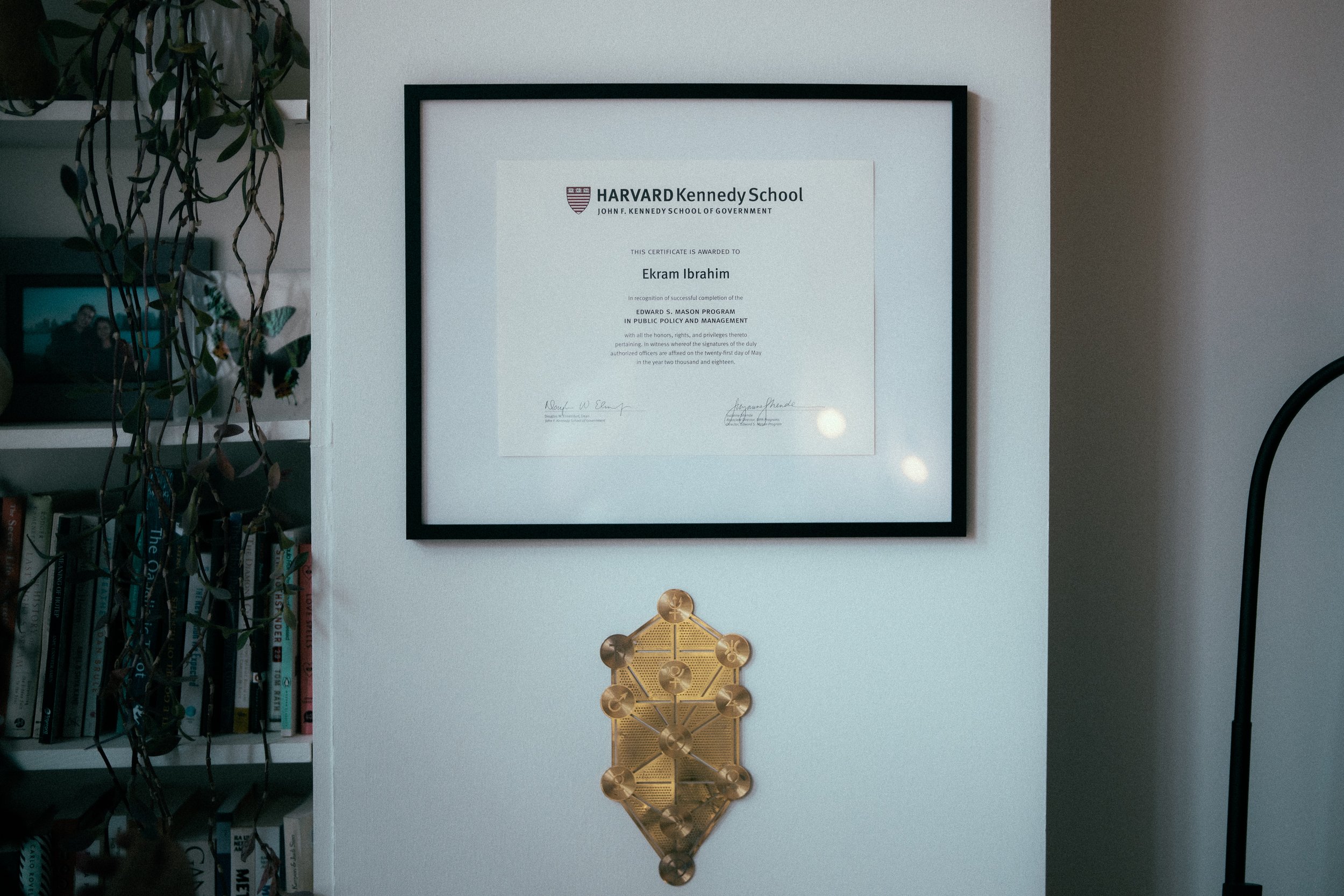A framed Harvard Kennedy School certificate on a white wall, a metal tree sculpture below, and part of a bookshelf with books and a photo frame on the left side.