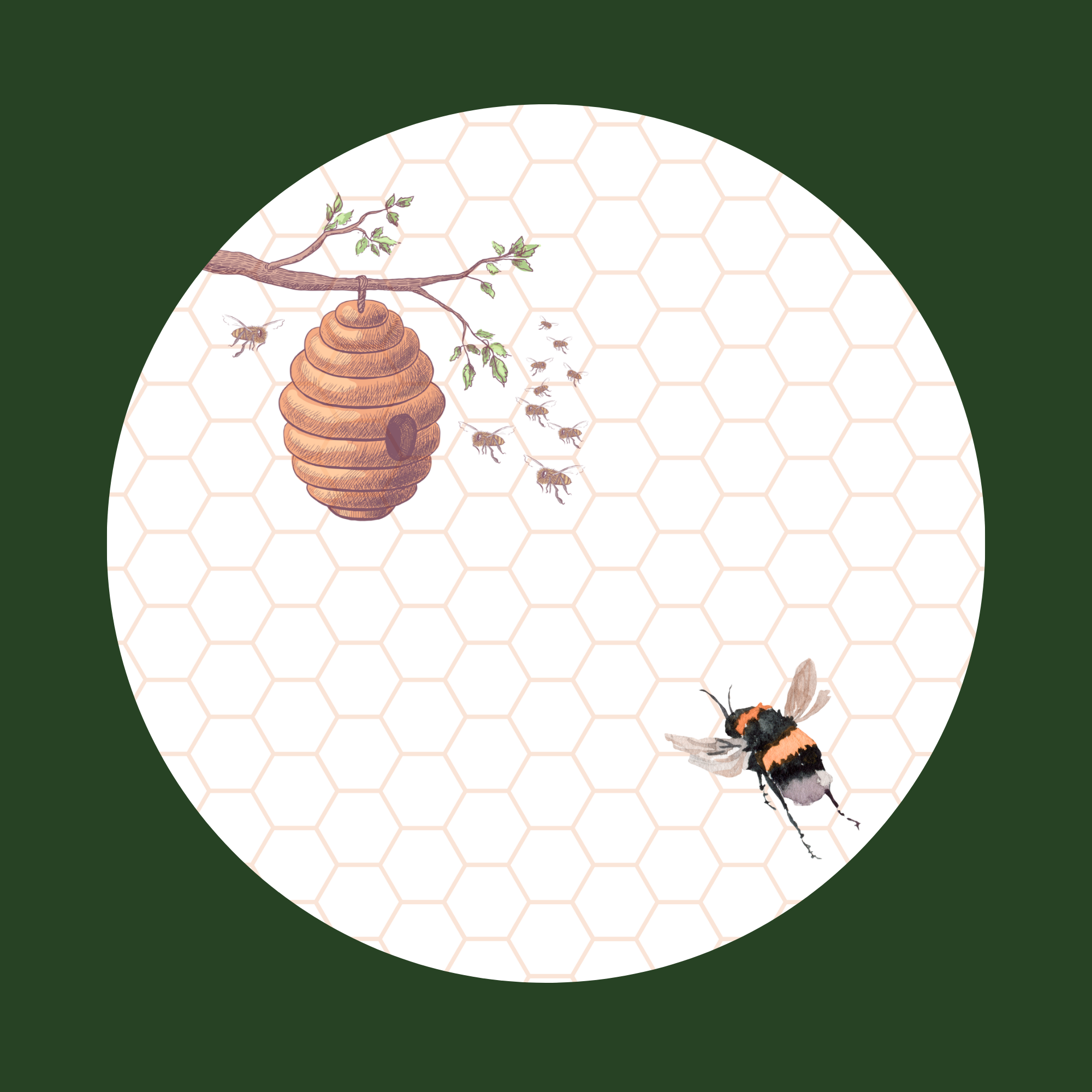 Loneliness touches everyone