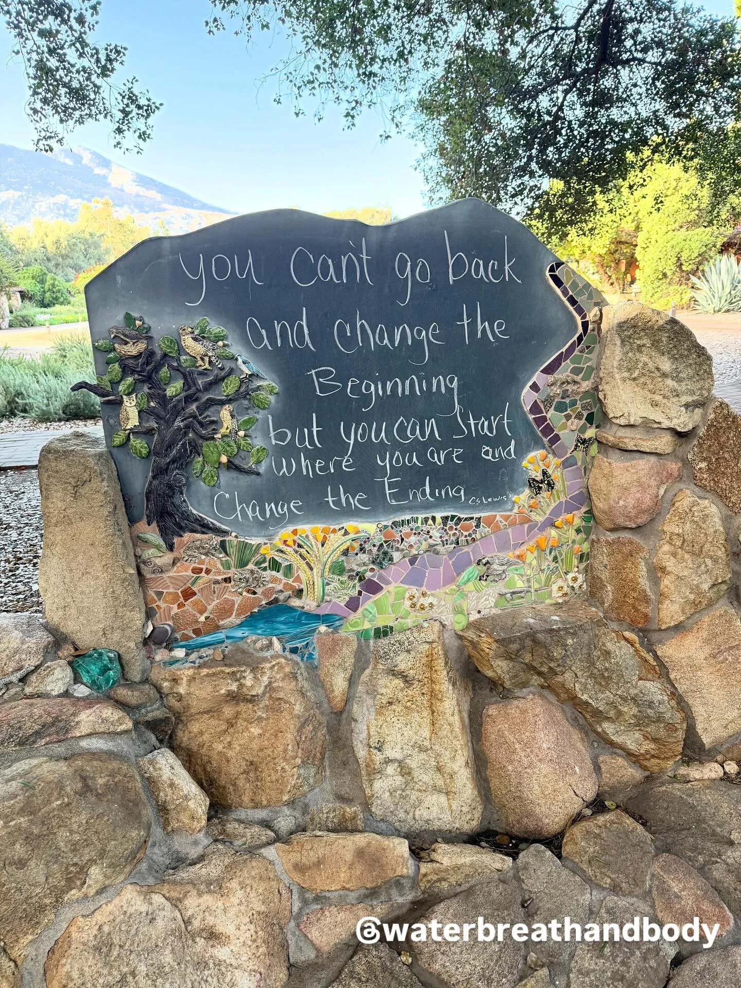 We can&rsquo;t go back and rewrite the beginning.
But we can soften into the present, into breath, into body, into water and discover that letting go creates space.

Space for something new.
Something authentic.
Something alive.

In a Water, Breath &