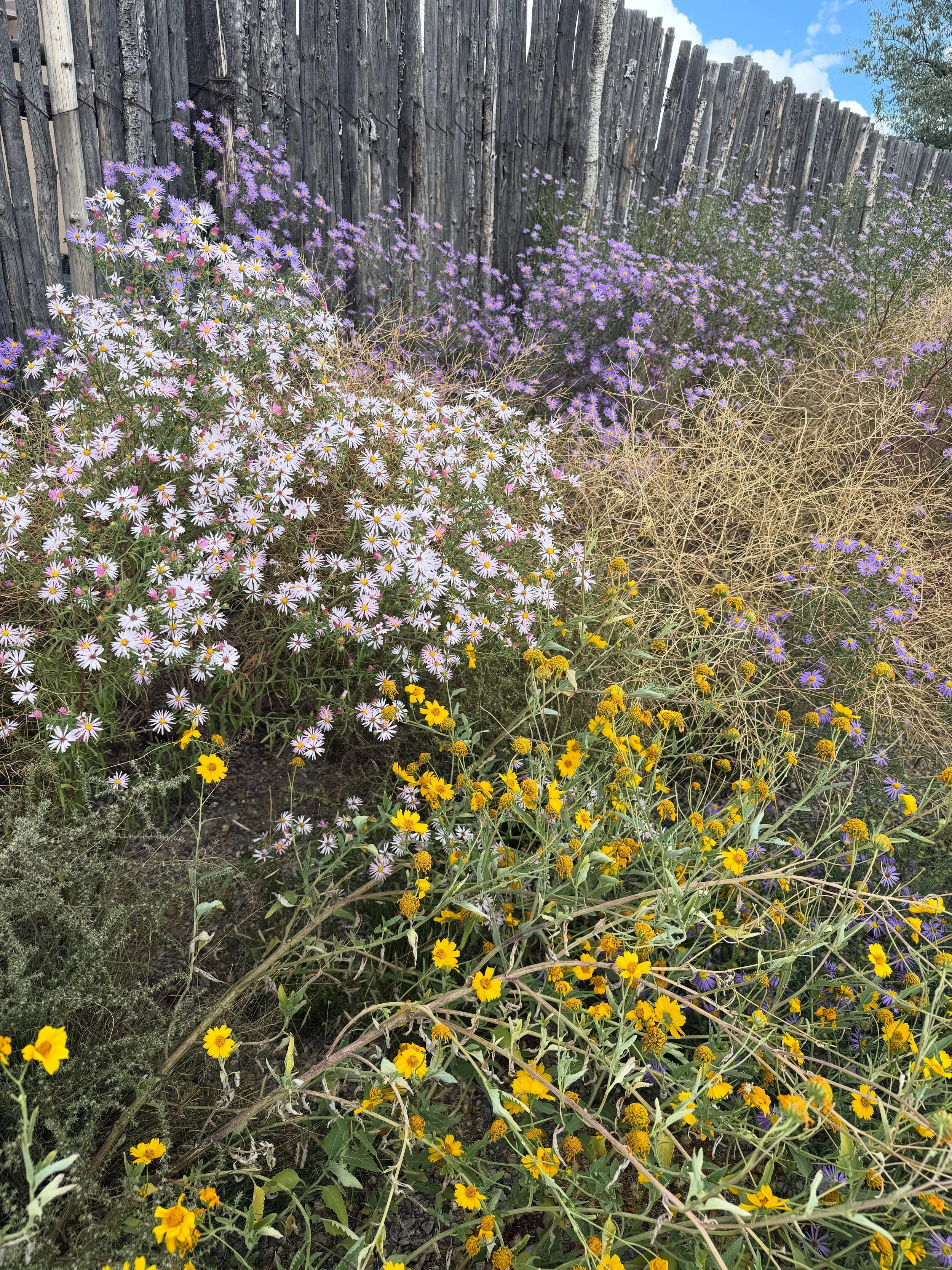 29646745-0ECD-4D21-86A5-CCCB848DD9EE.jpeg