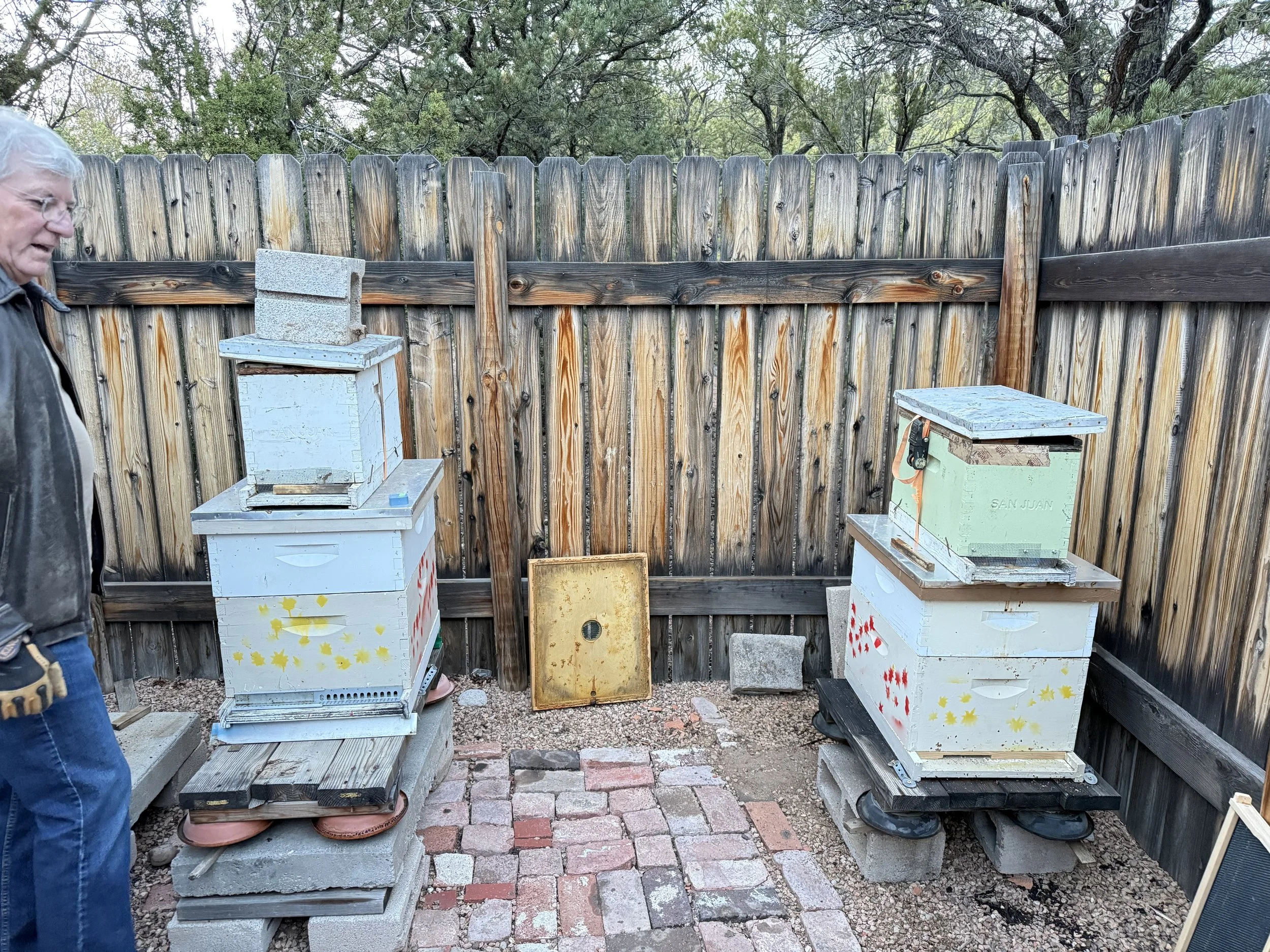 Bee Update