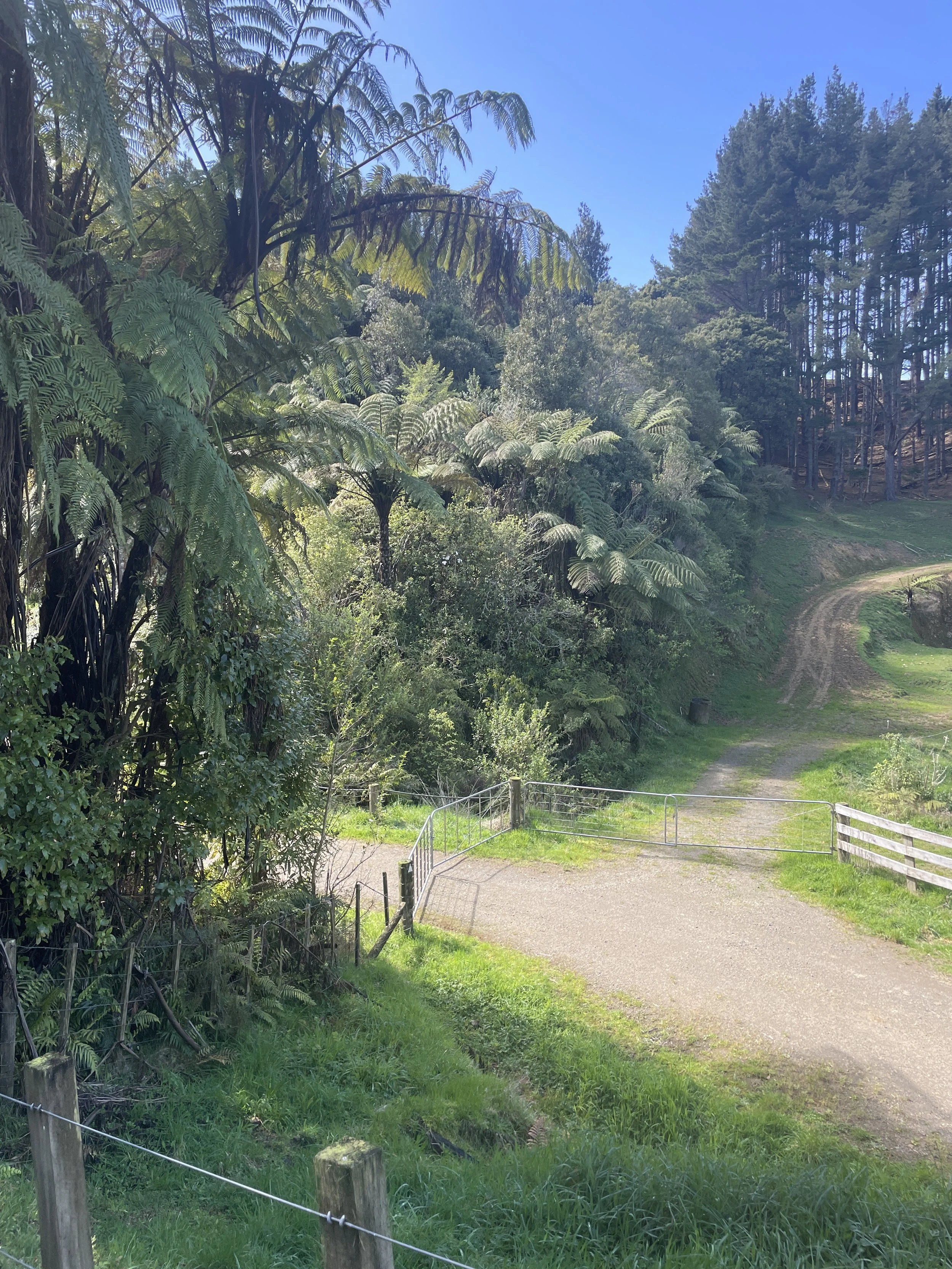 Auckland