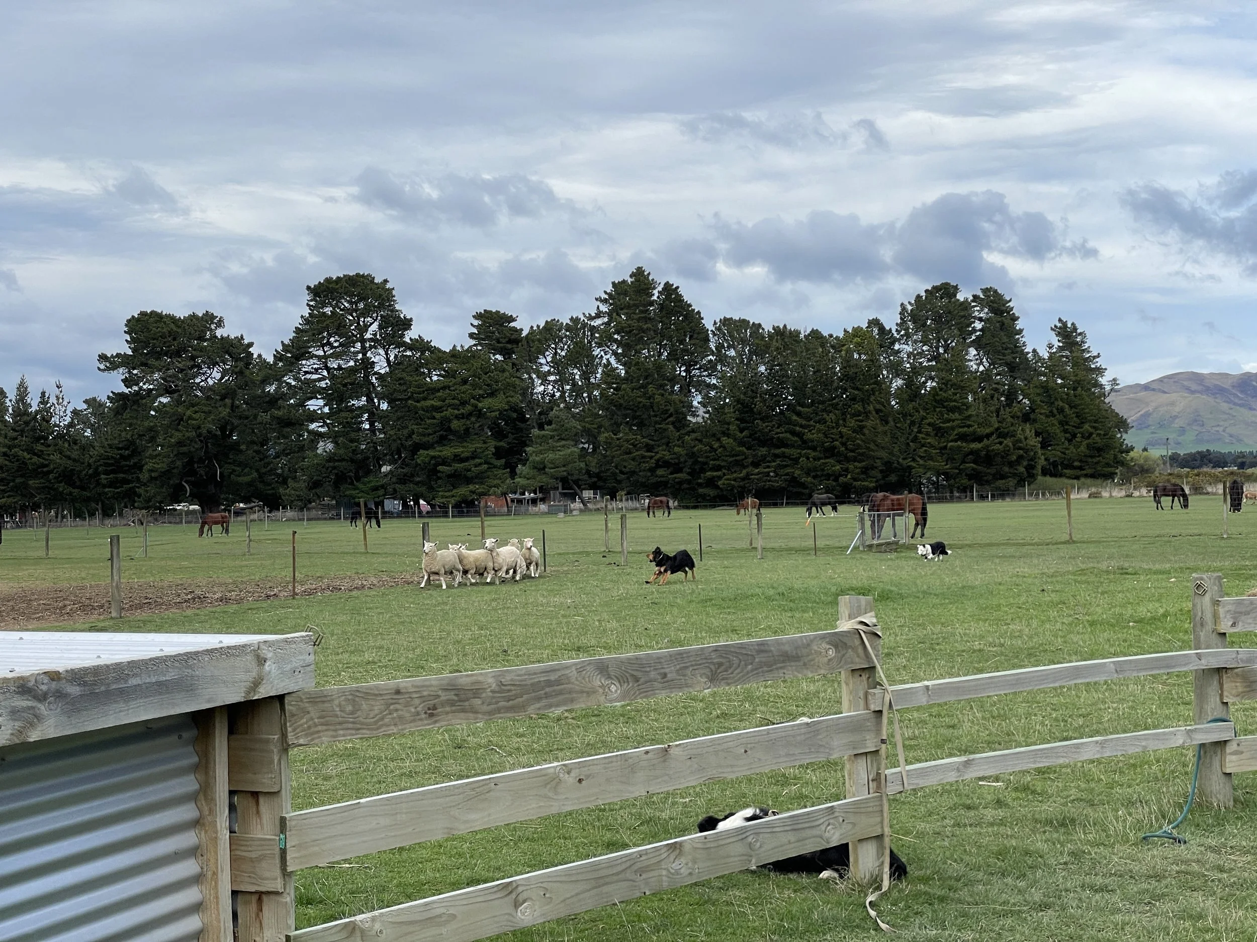 Christchurch &amp; Rubicon Valley