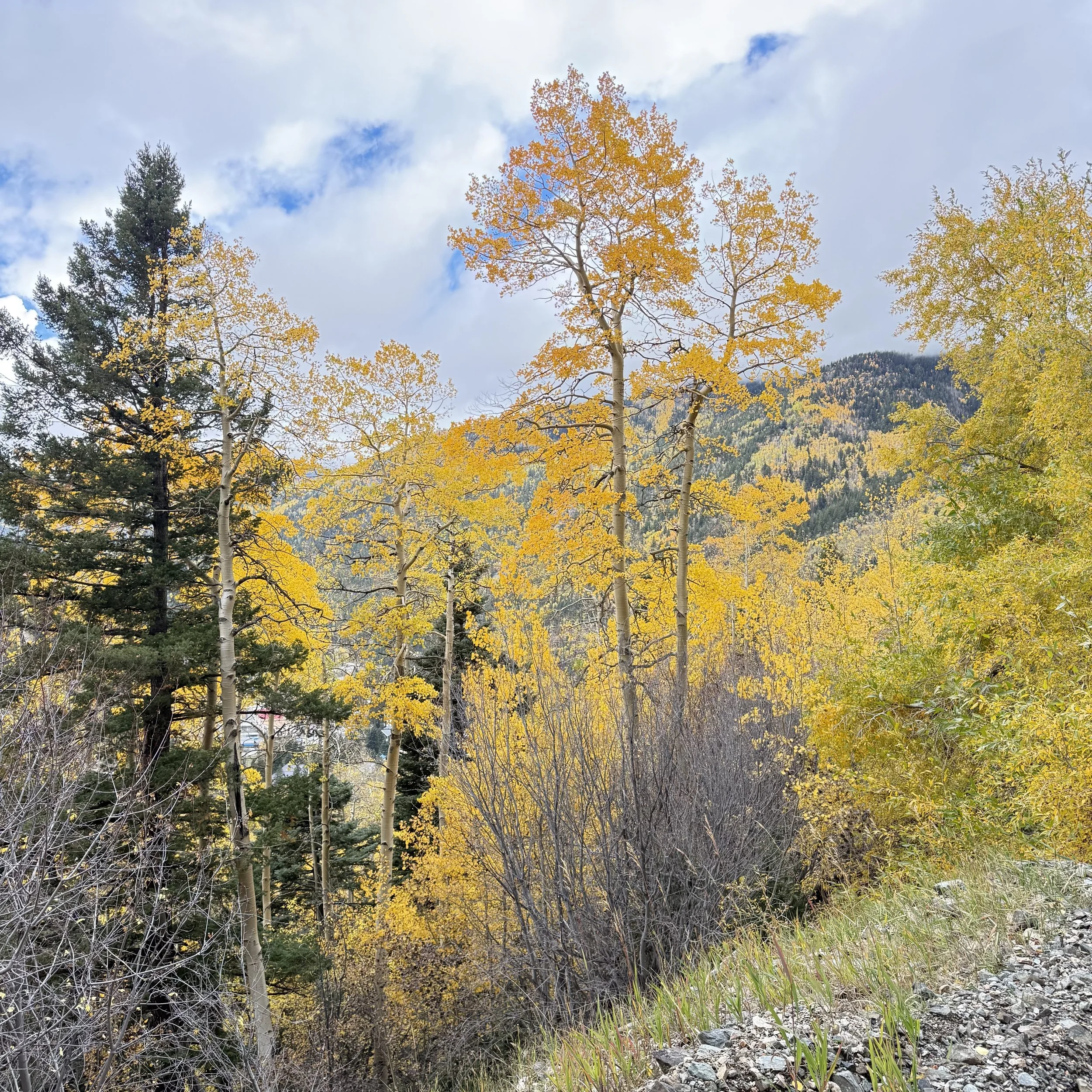 Trip to Taos