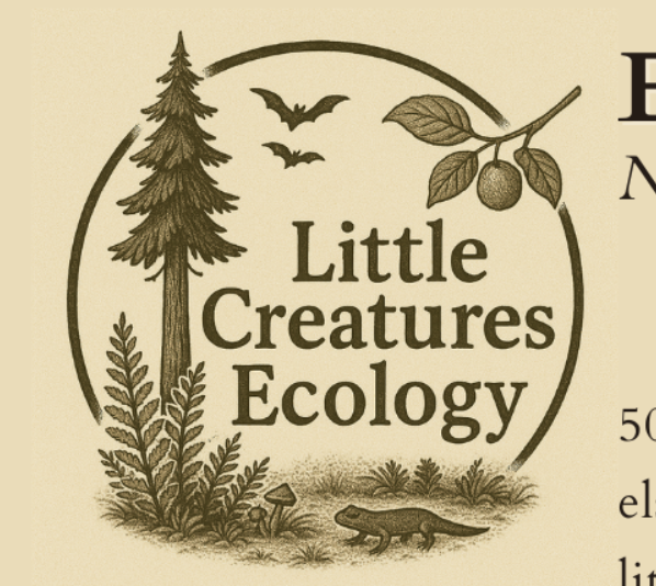 Little creatures ecology