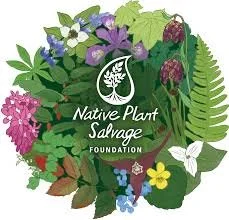 Native plant salvage