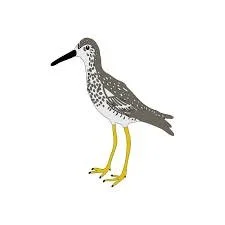 south sound bird alliance