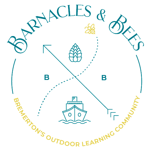 barnacles and bees