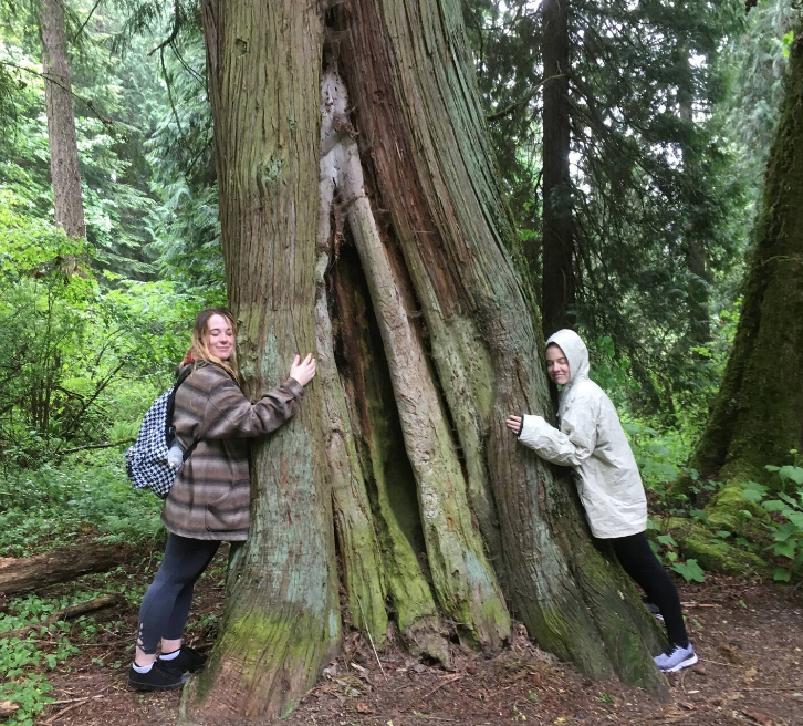 walkabout with julie